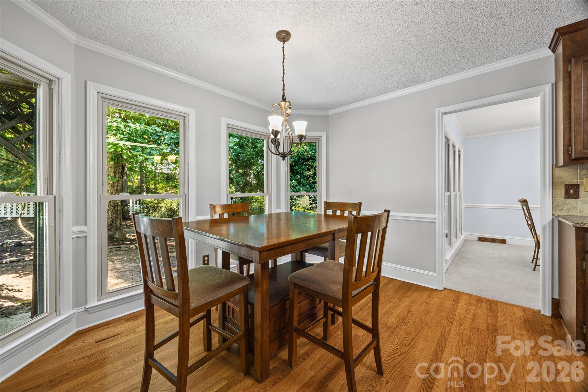 1596 Old Tara Lane Property Photo 12