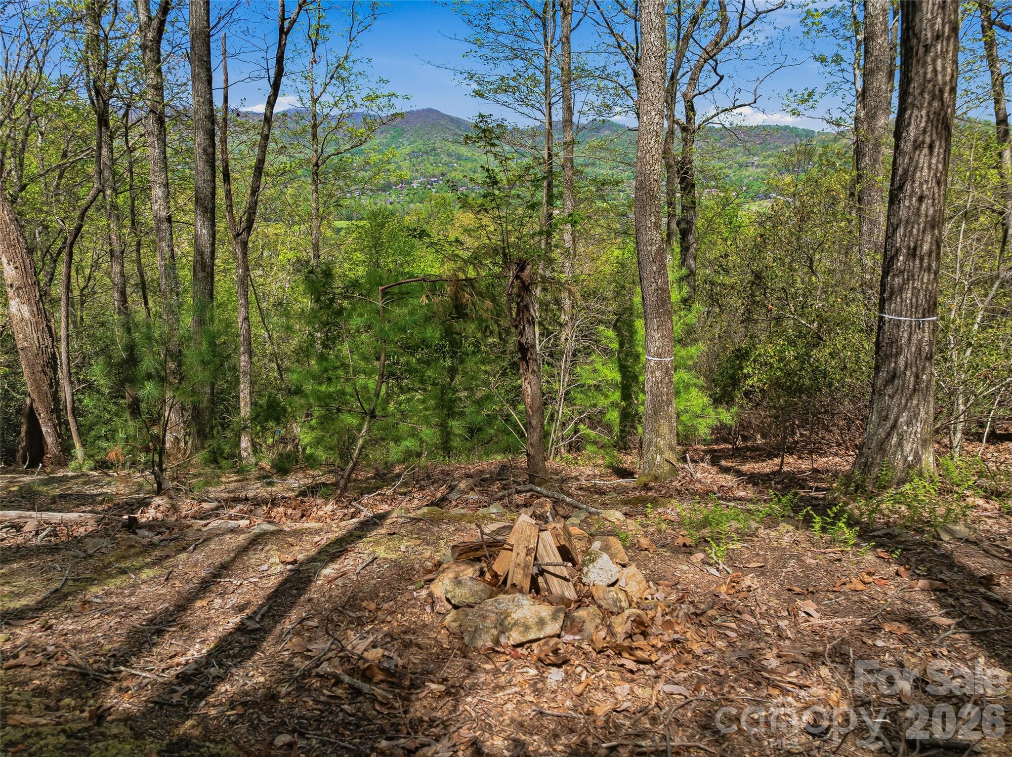 27 Deer Grass Court Property Photo 4