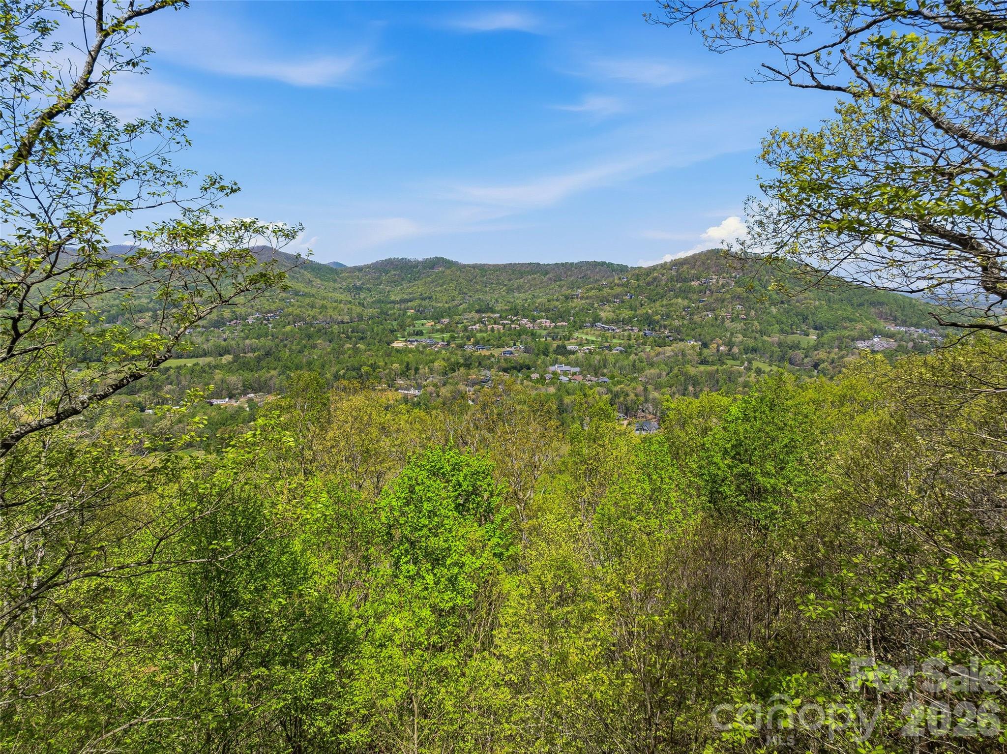 27 Deer Grass Court Property Photo 5