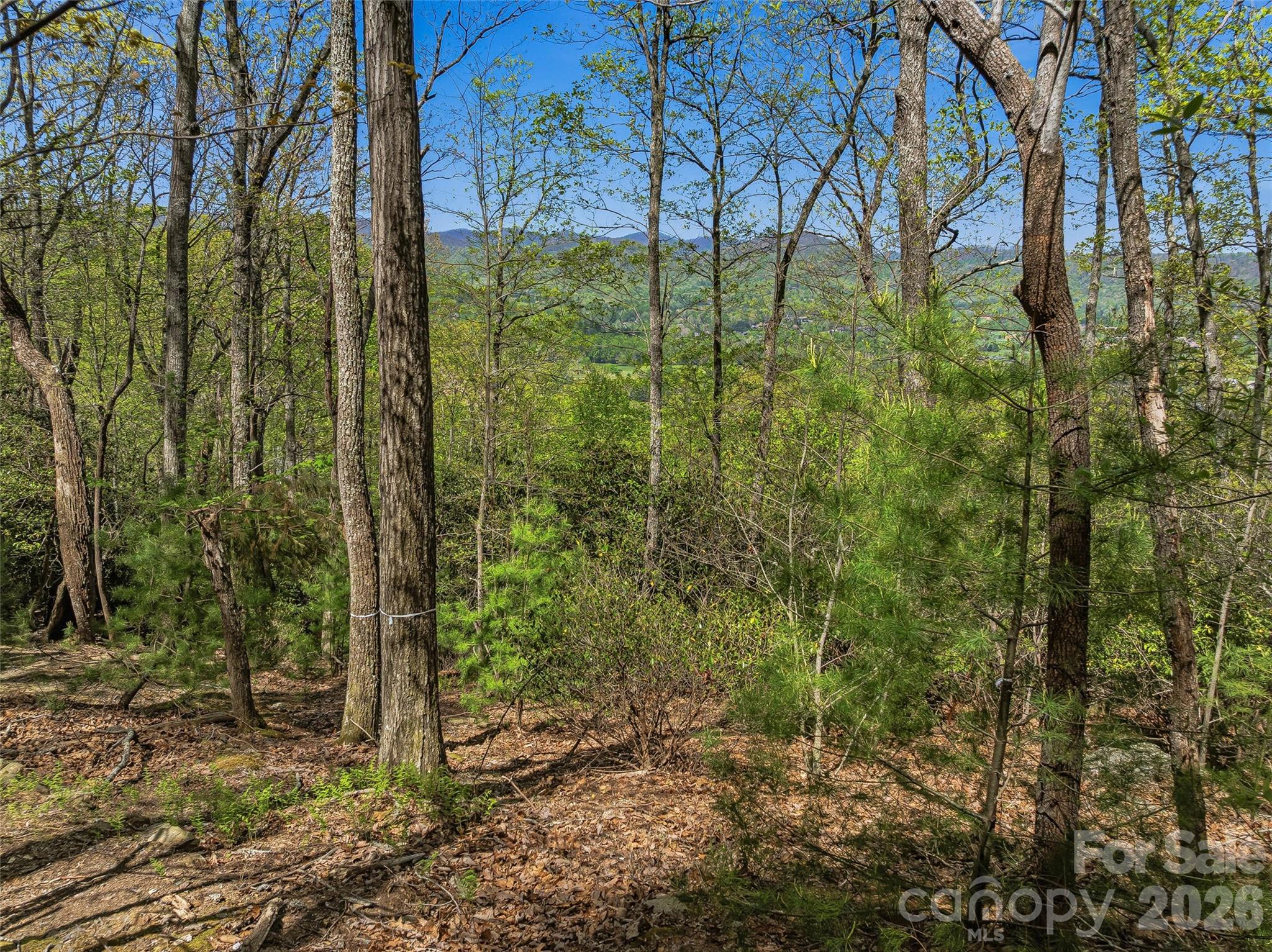 27 Deer Grass Court Property Photo 7