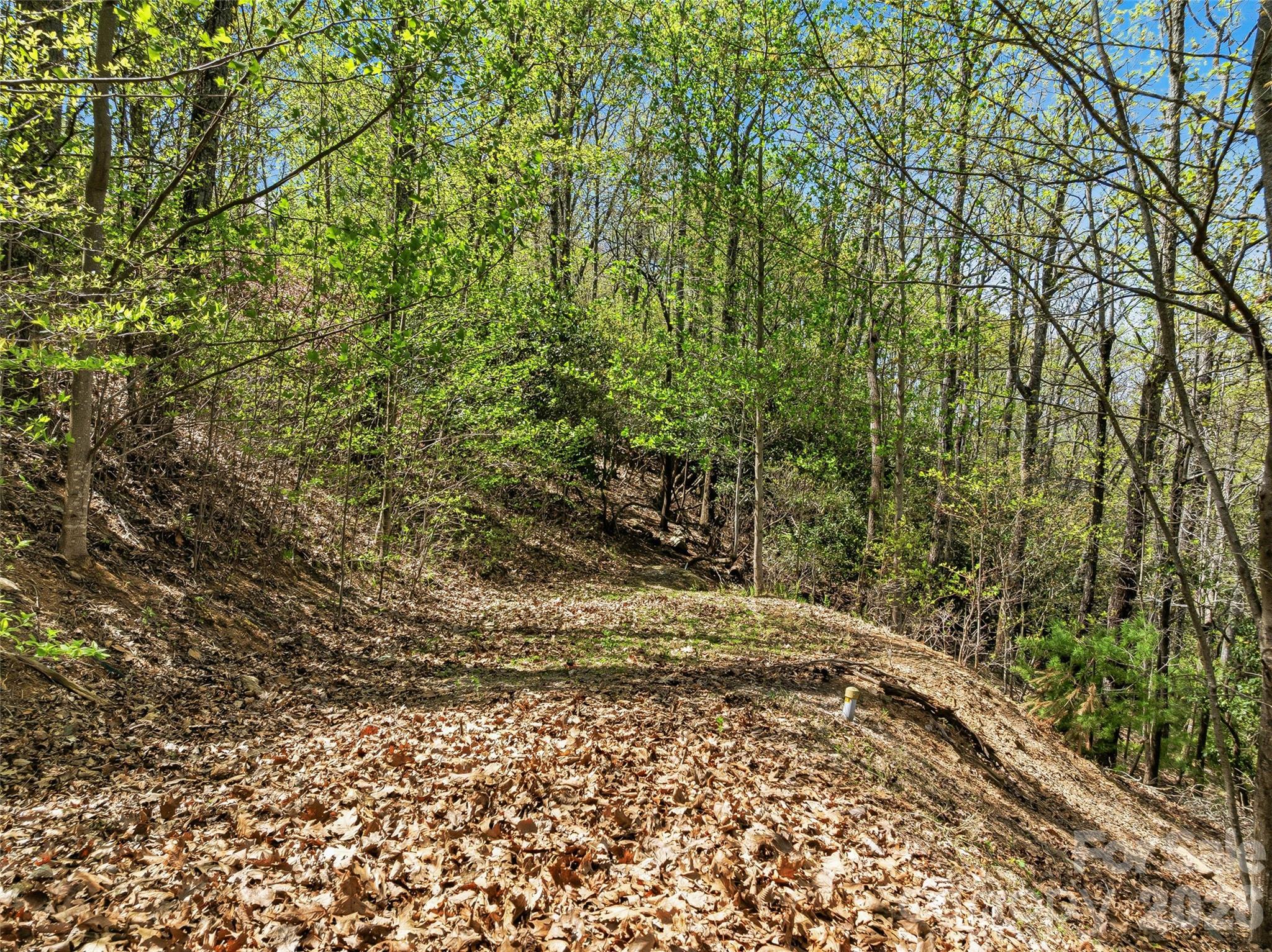 27 Deer Grass Court Property Photo 8