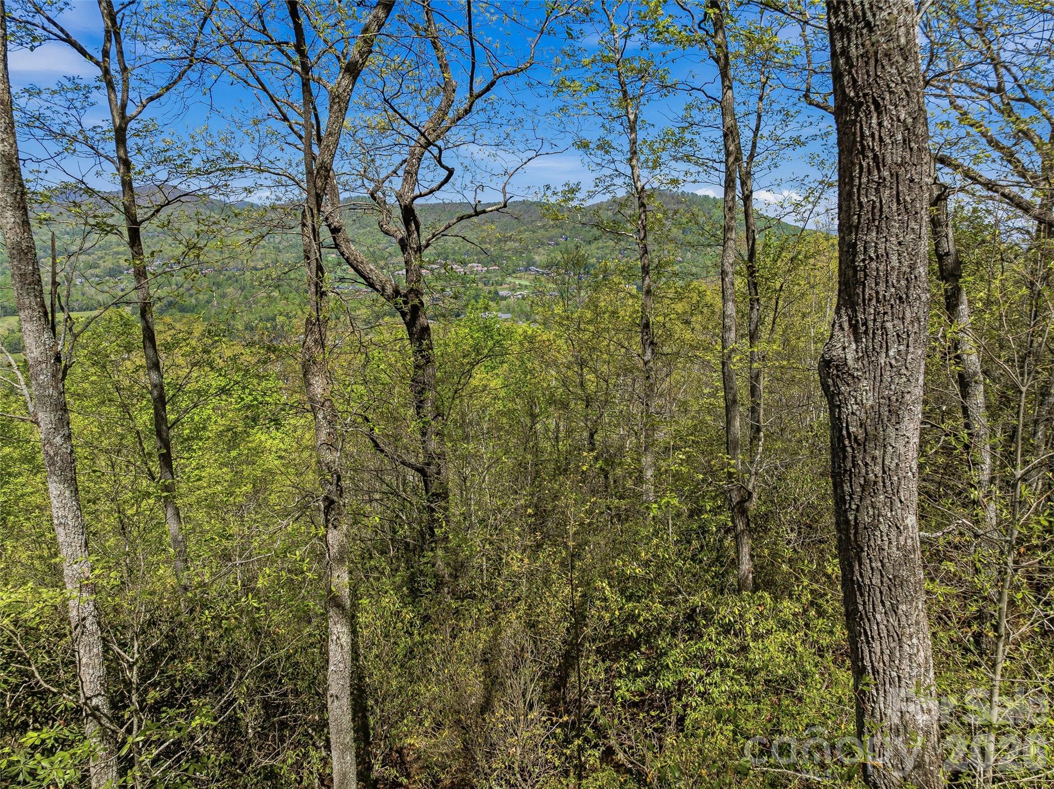 27 Deer Grass Court Property Photo 11