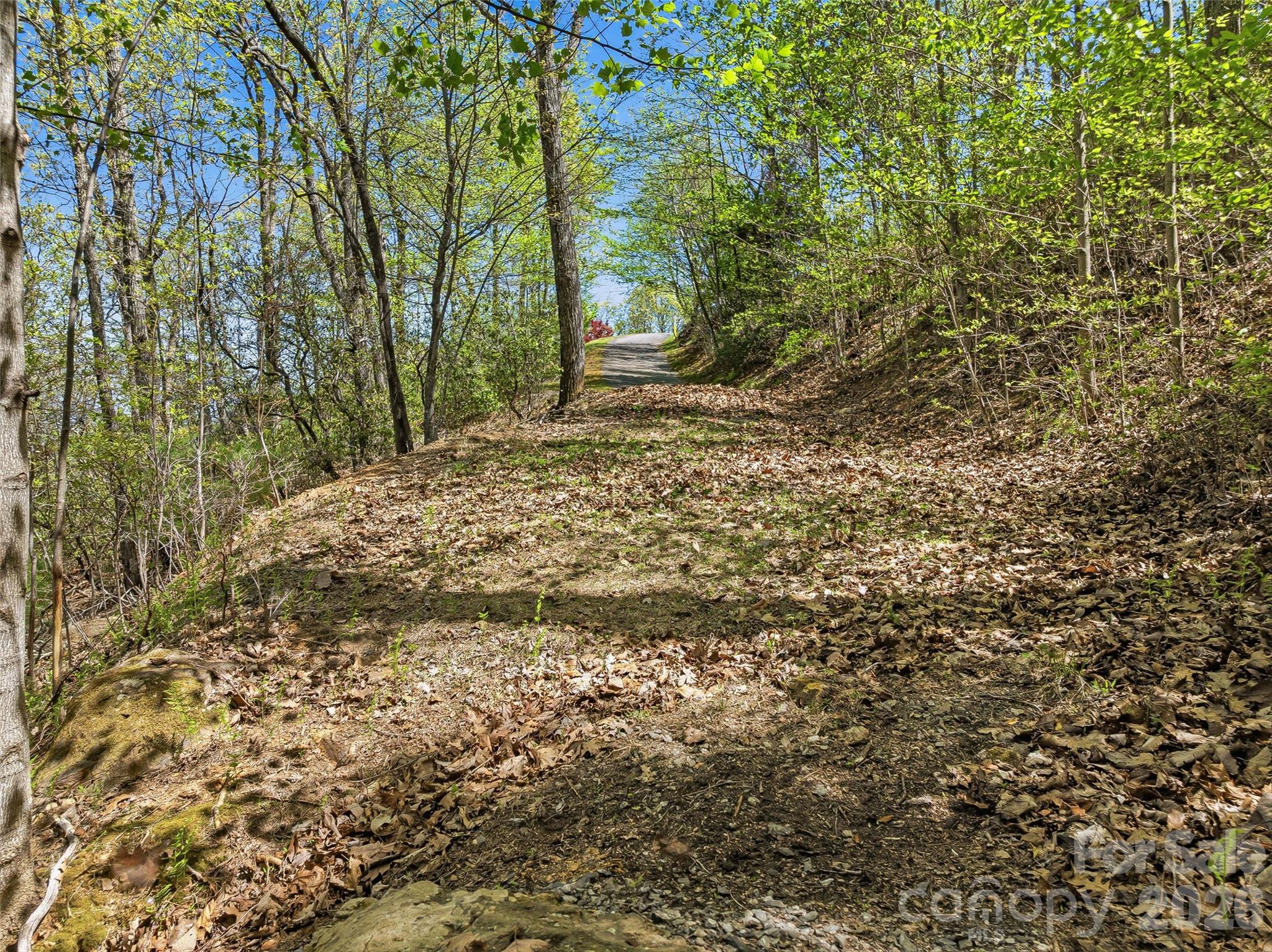27 Deer Grass Court Property Photo 12