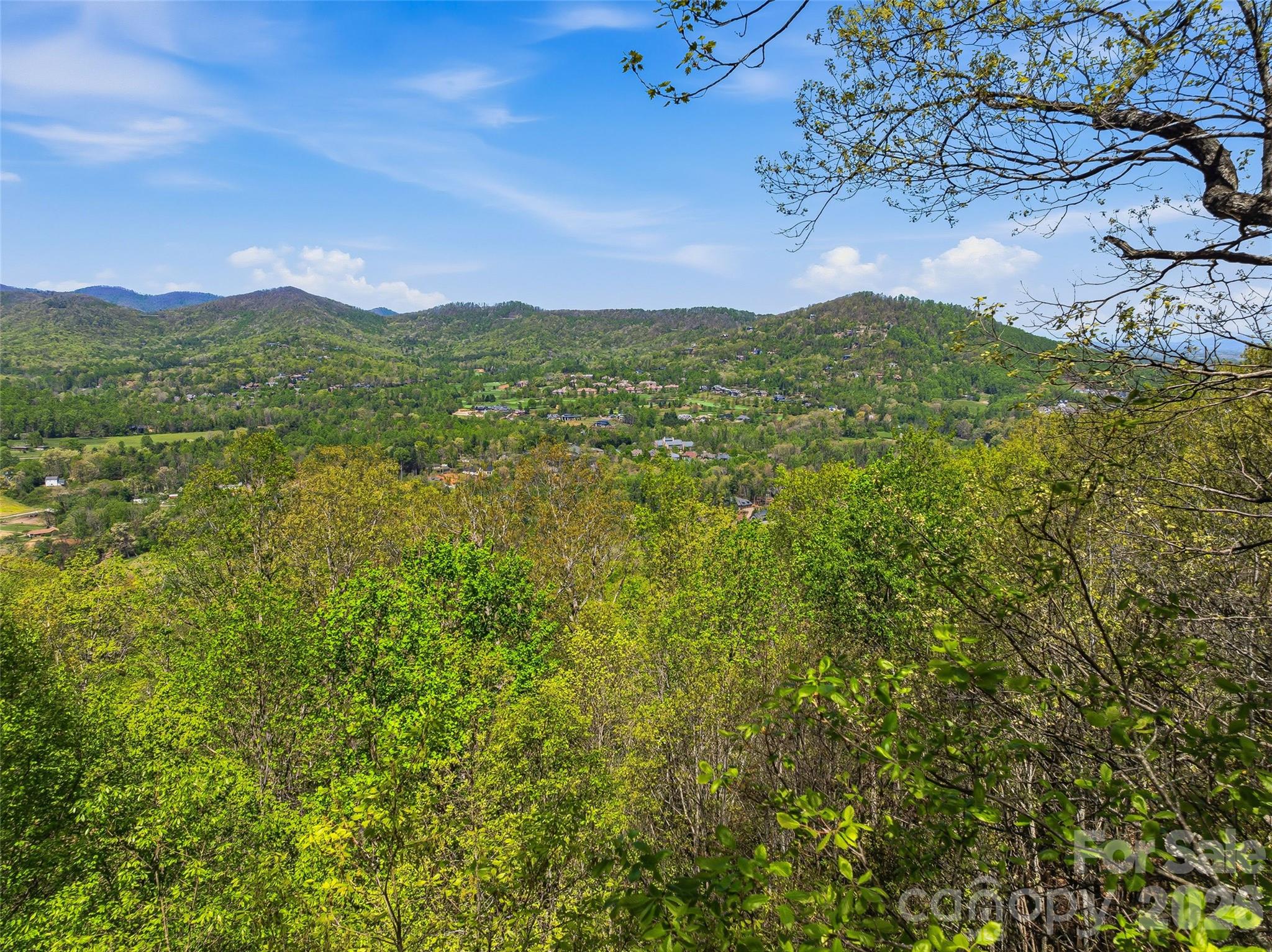 27 Deer Grass Court Property Photo 16