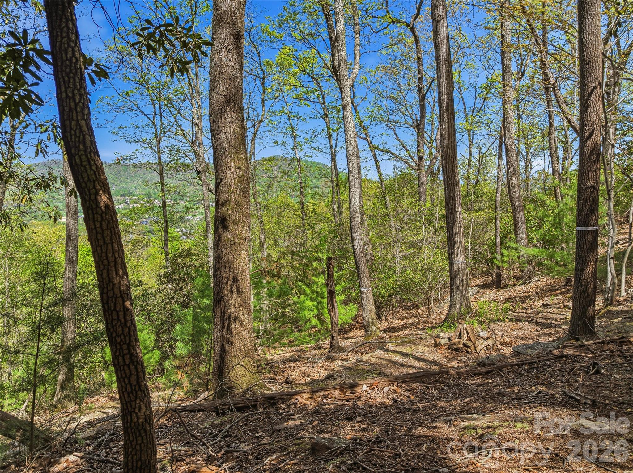 27 Deer Grass Court Property Photo 17