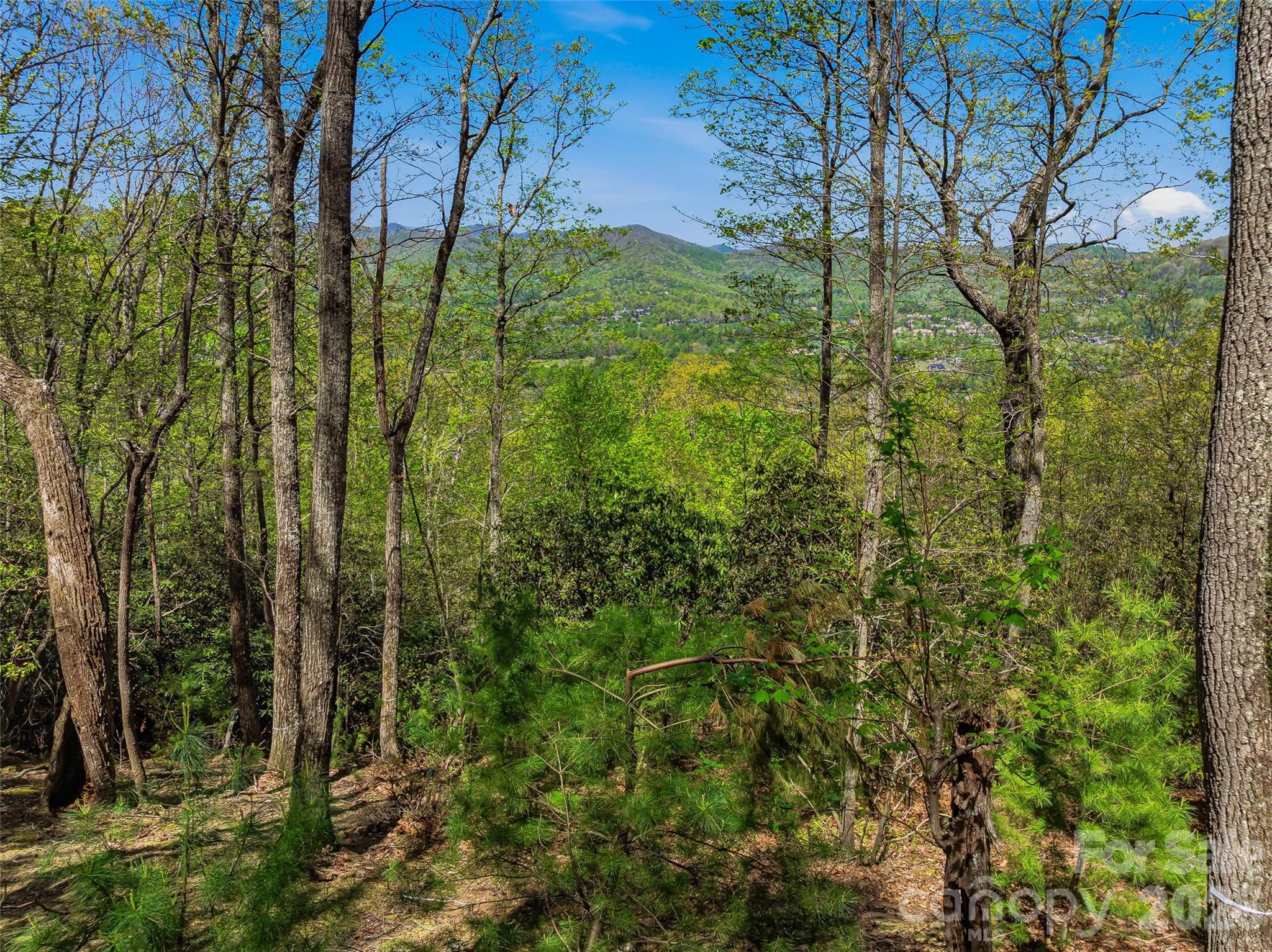 27 Deer Grass Court Property Photo 19
