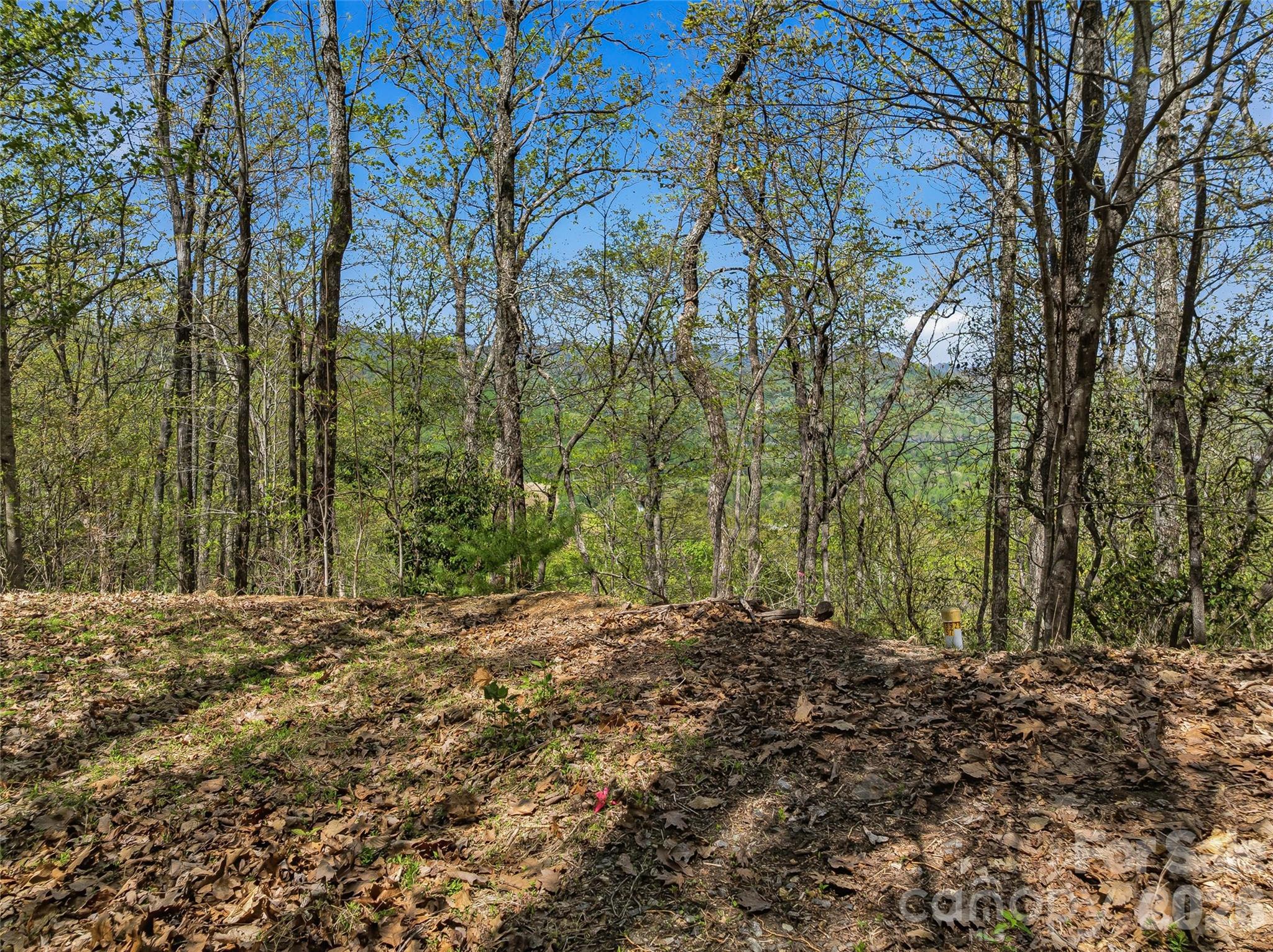 27 Deer Grass Court Property Photo 23