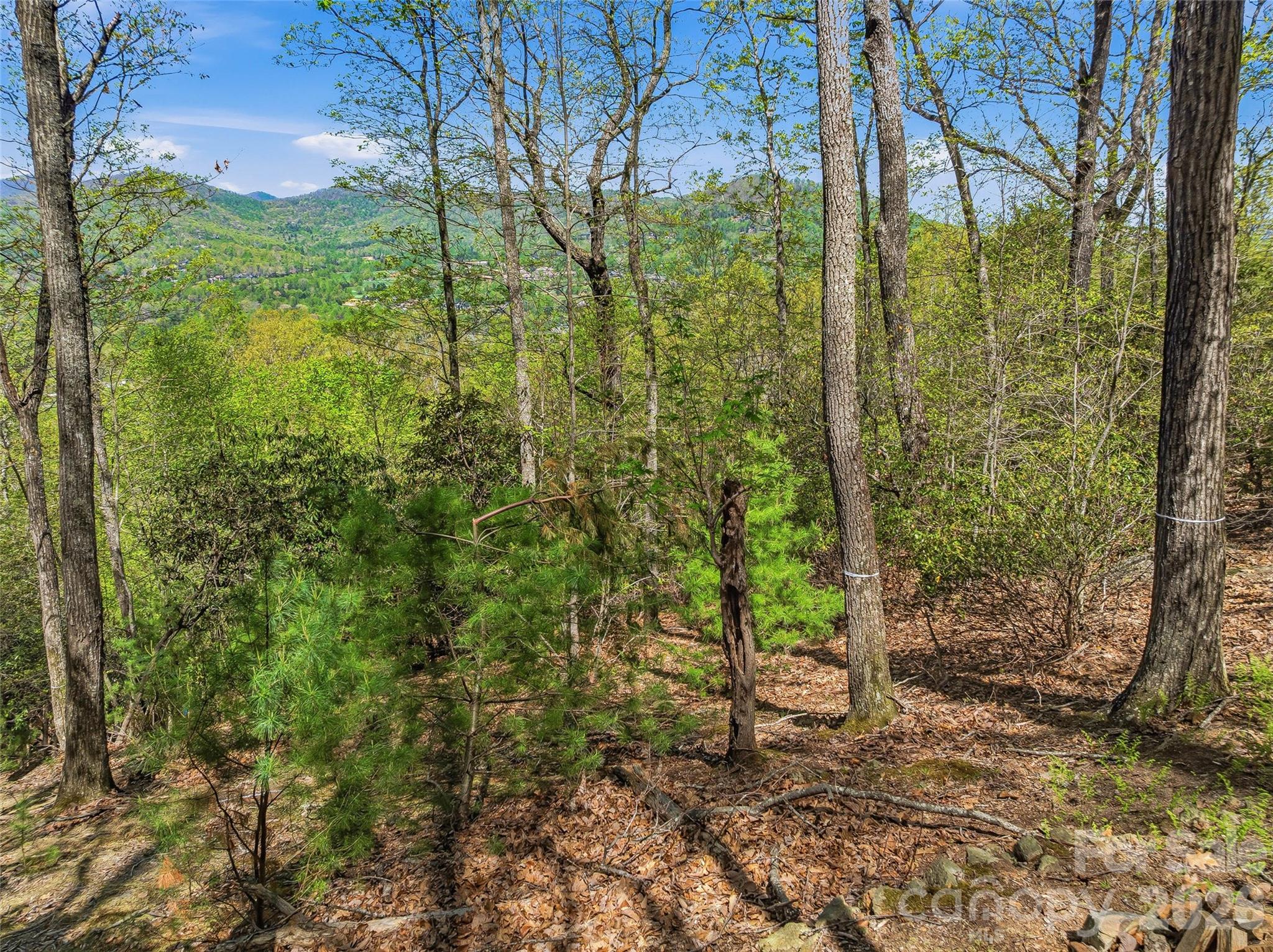 27 Deer Grass Court Property Photo 24