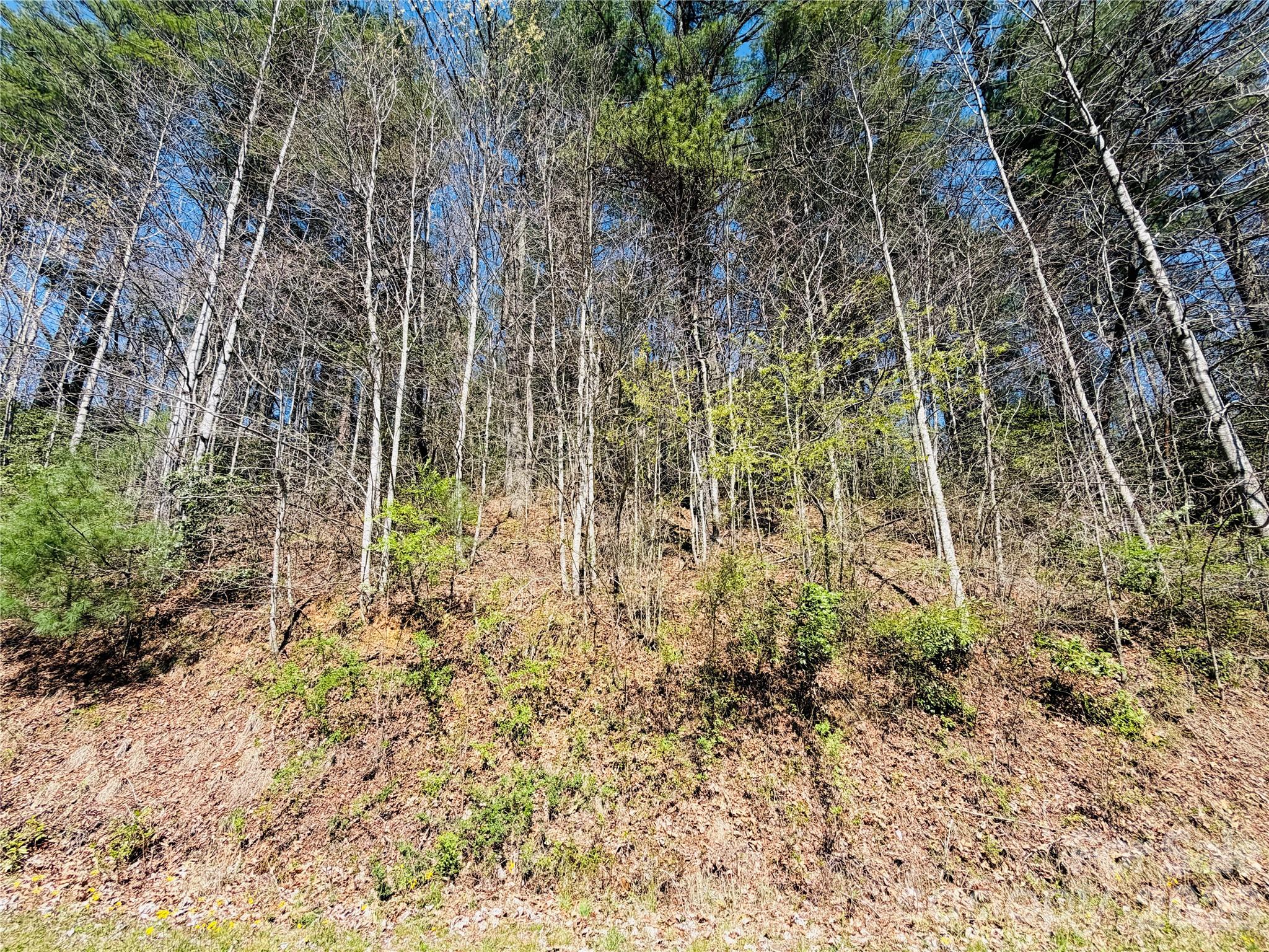 0000 Rock Creek Road Property Photo 7