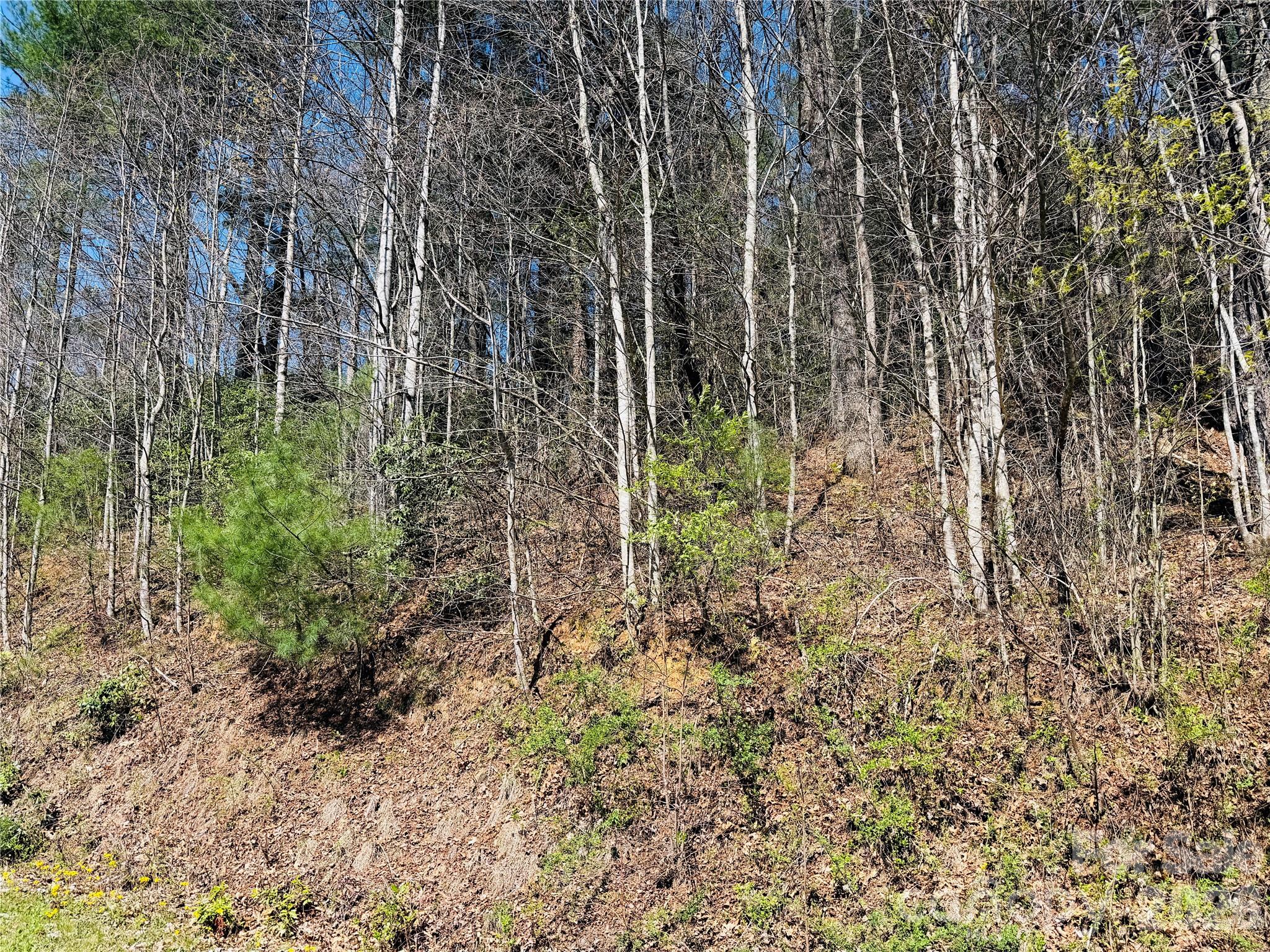 0000 Rock Creek Road Property Photo 8