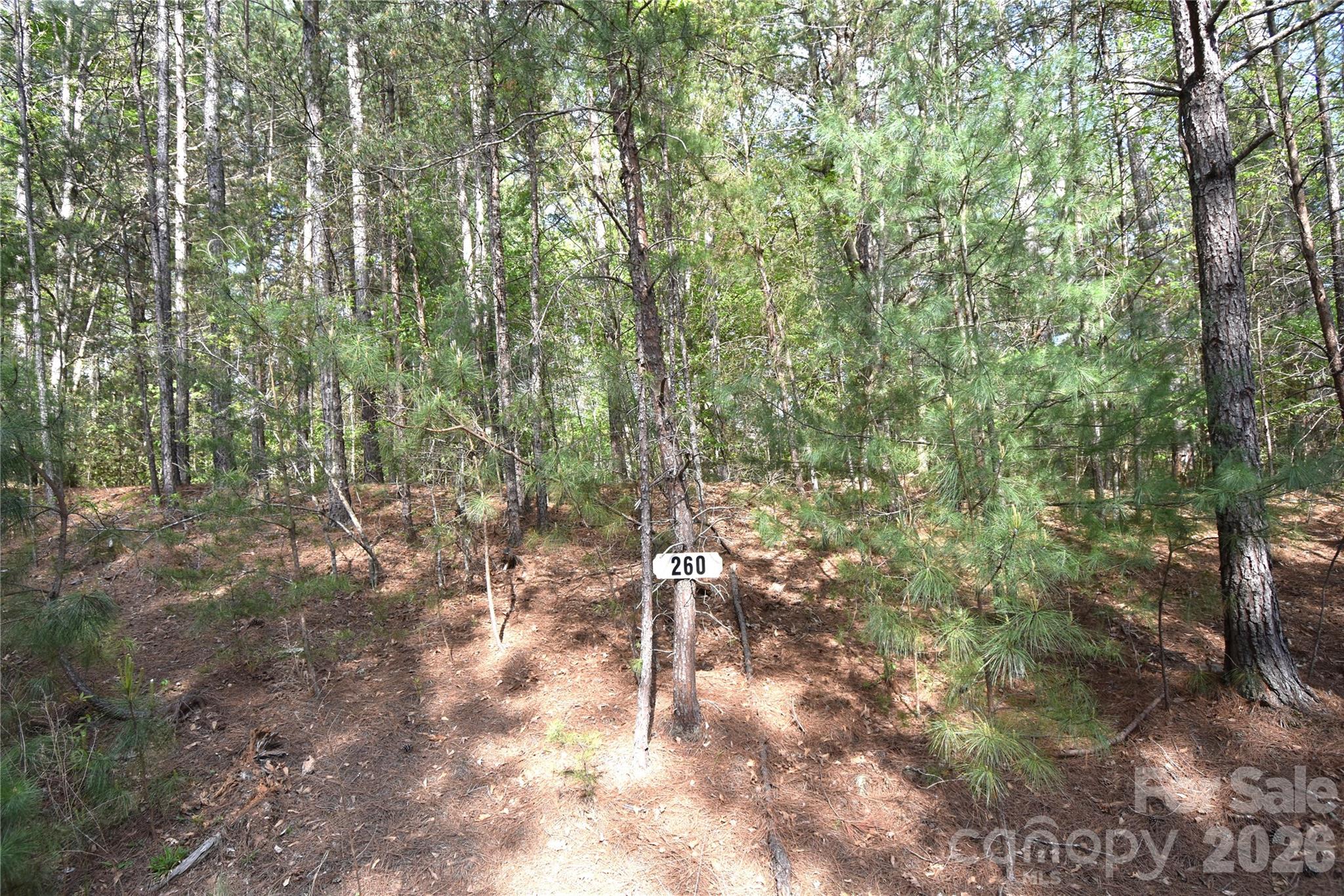 5417 Bridgewater Drive Lot 260 Property Photo 26