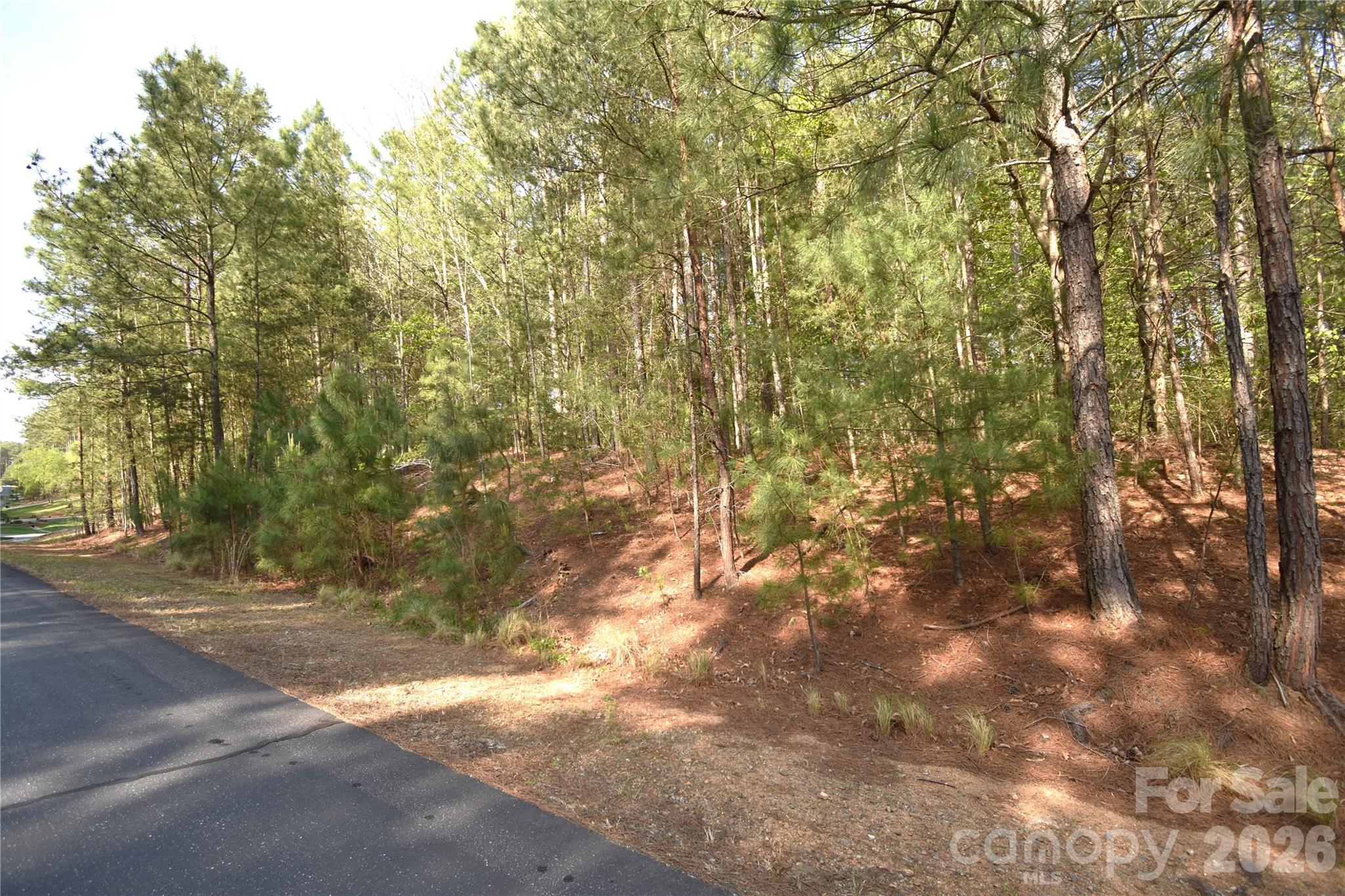 5417 Bridgewater Drive Lot 260 Property Photo 27