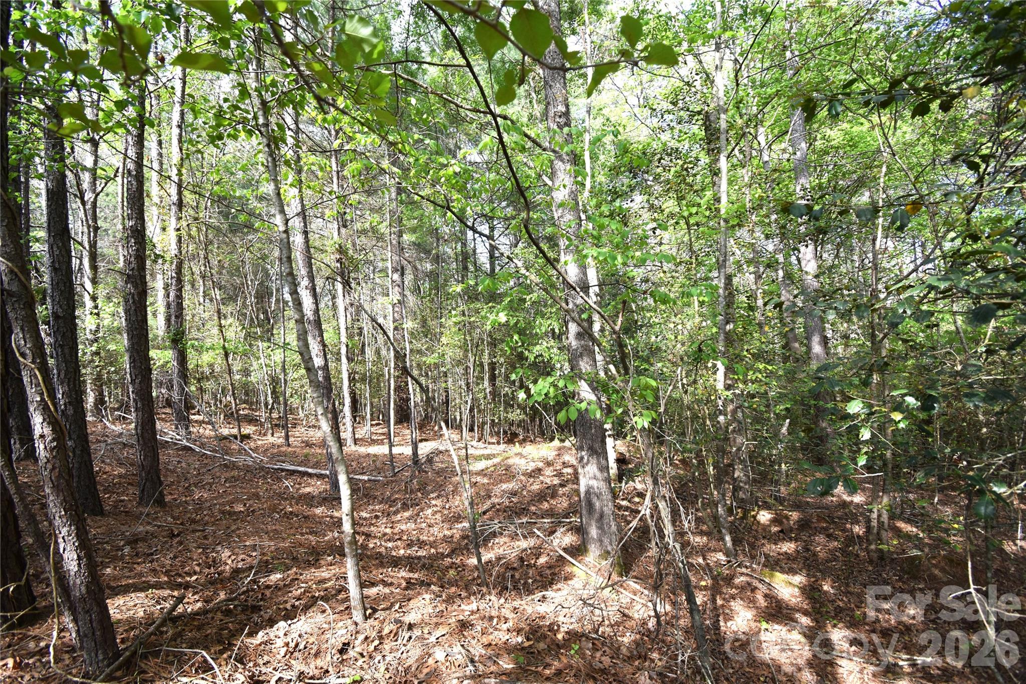 5417 Bridgewater Drive Lot 260 Property Photo 28