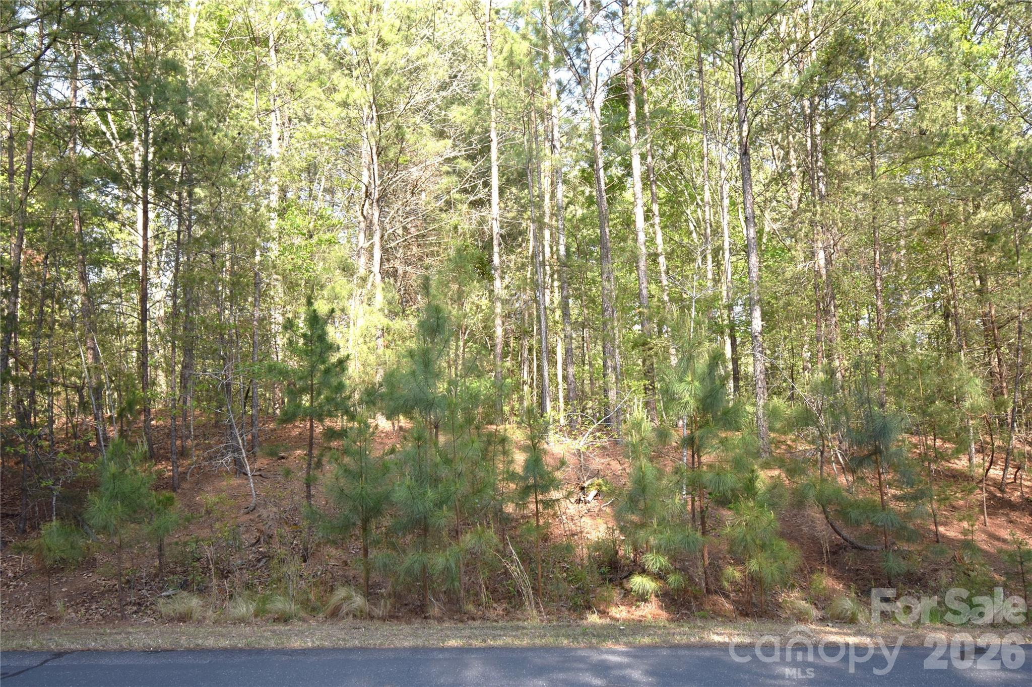 5417 Bridgewater Drive Lot 260 Property Photo 29
