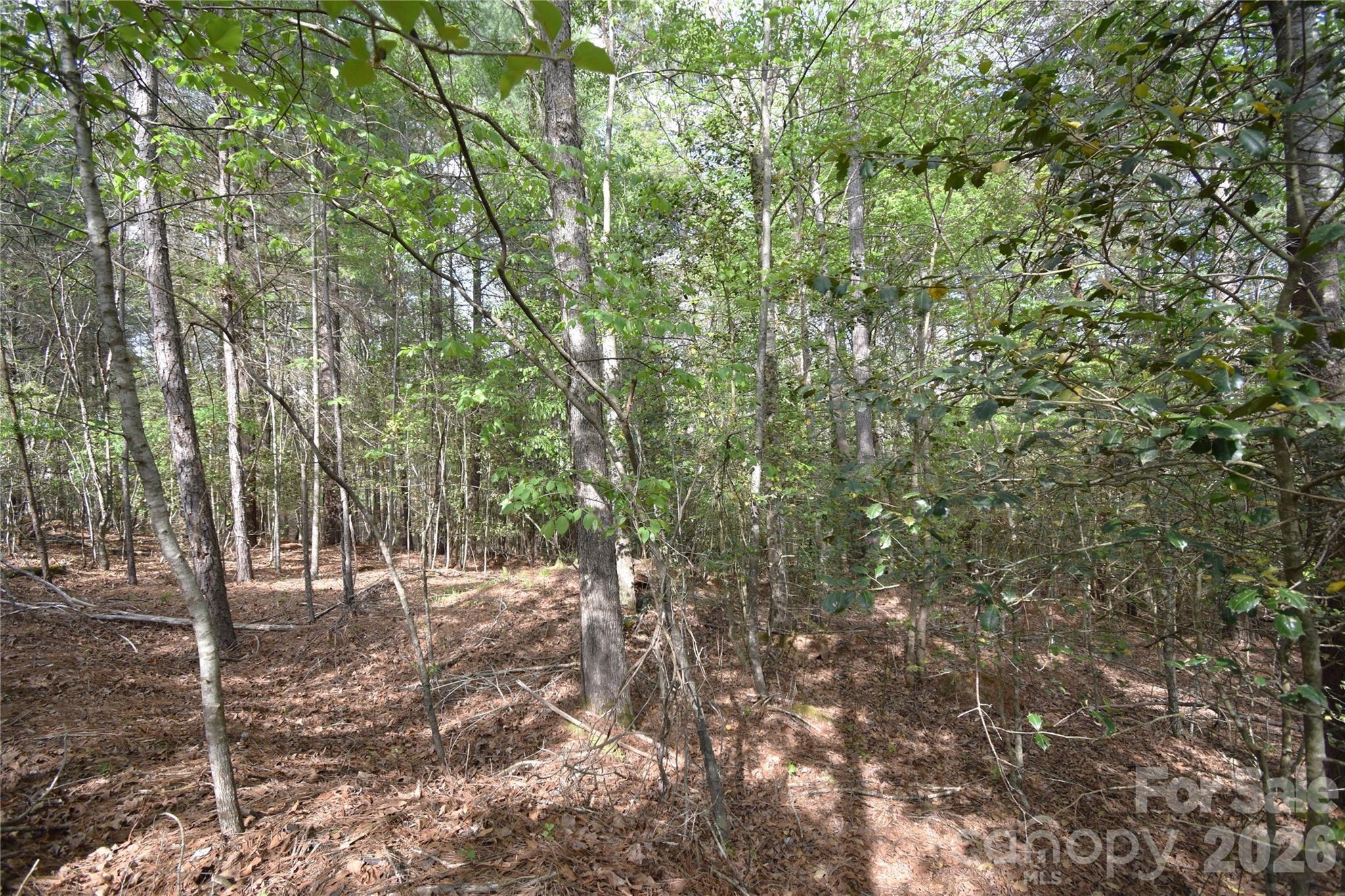 5417 Bridgewater Drive Lot 260 Property Photo 30