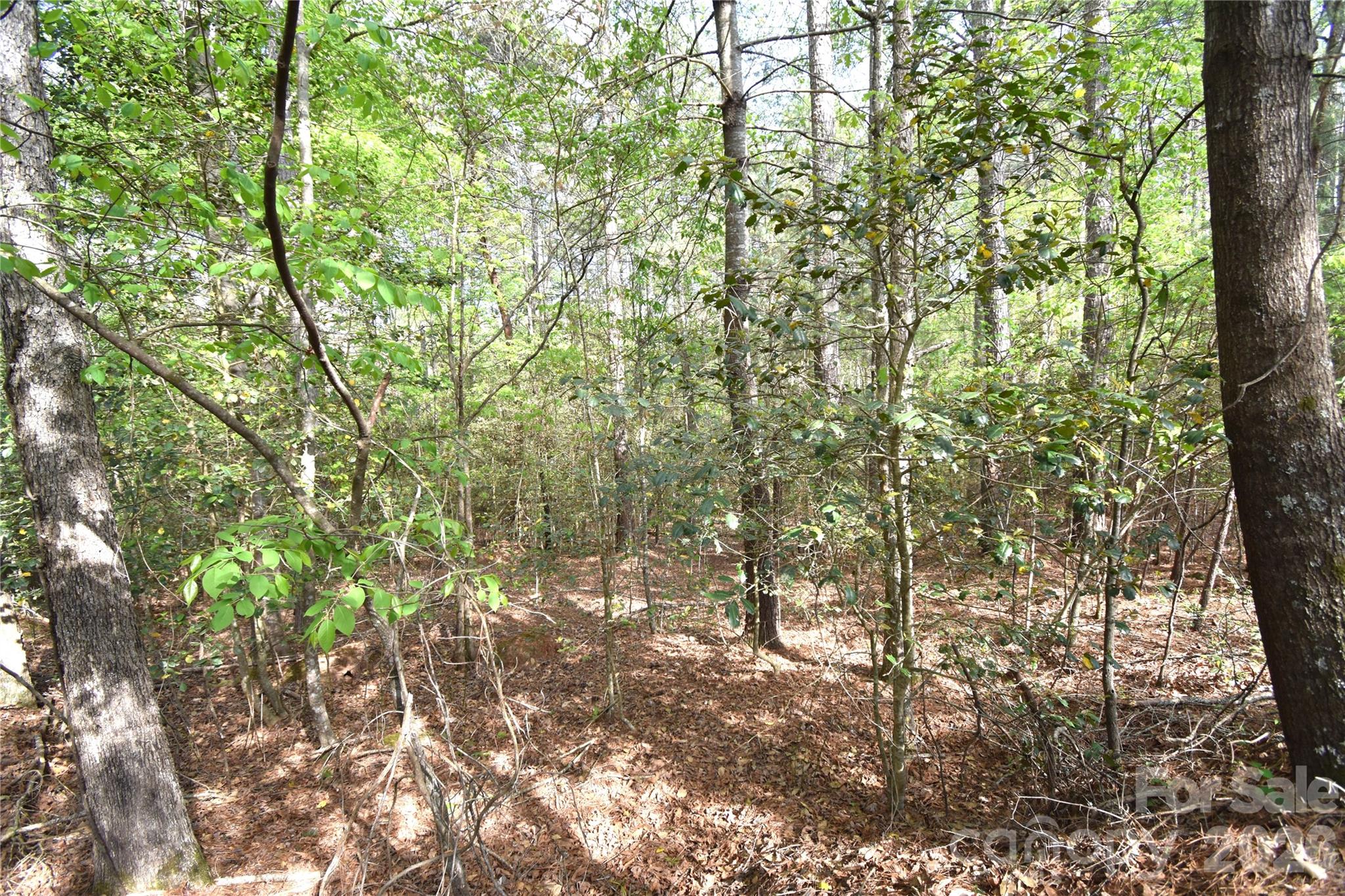 5417 Bridgewater Drive Lot 260 Property Photo 31