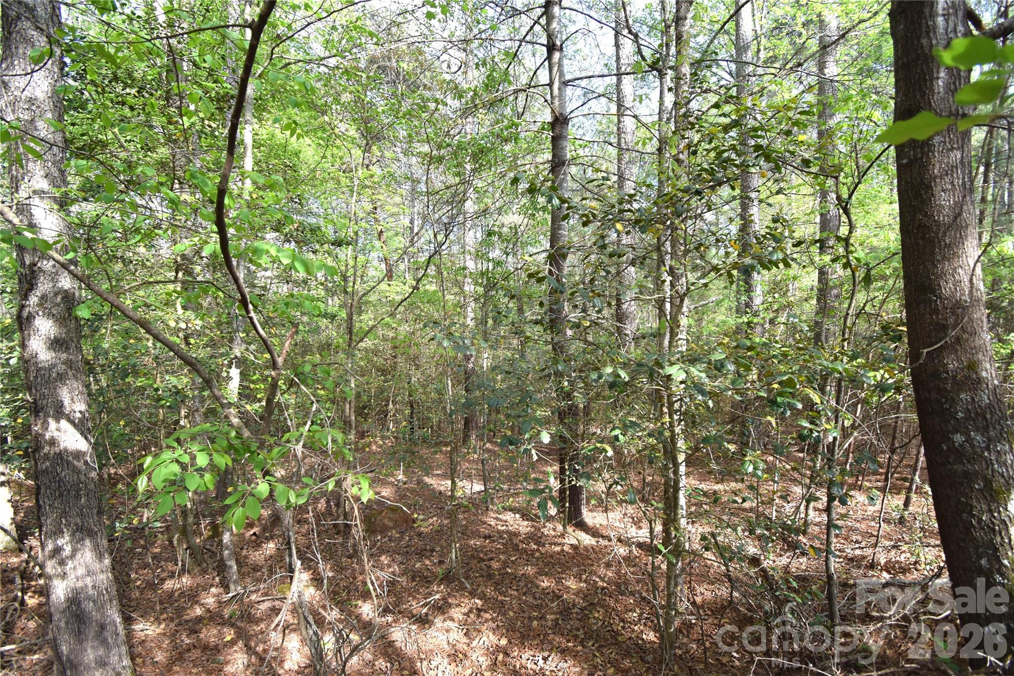 5417 Bridgewater Drive Lot 260 Property Photo 32