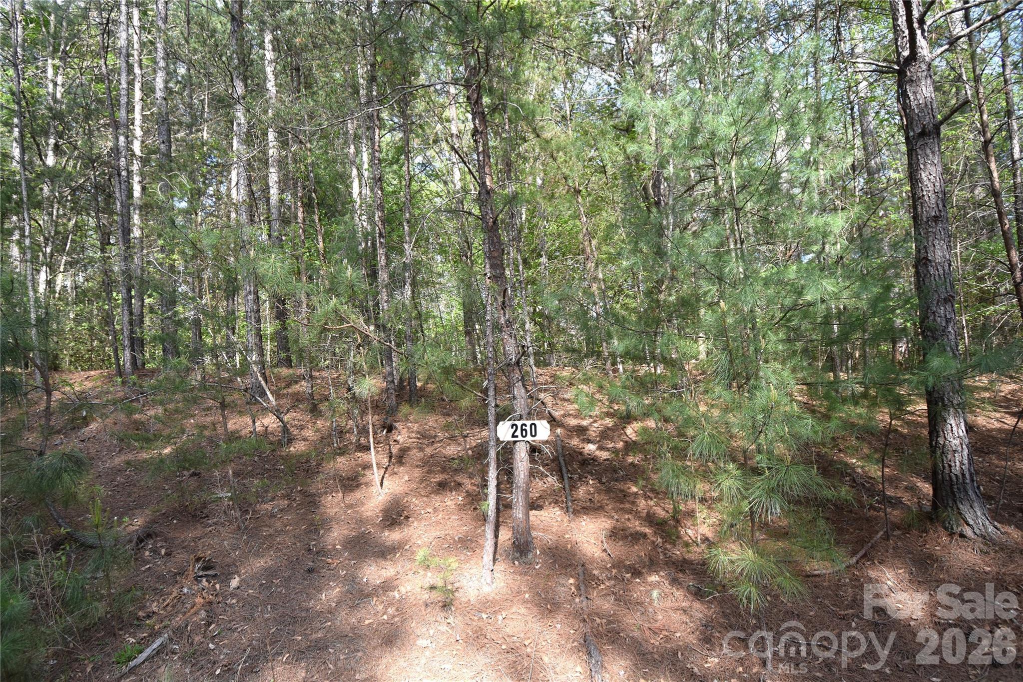 5417 Bridgewater Drive Lot 260 Property Photo 33