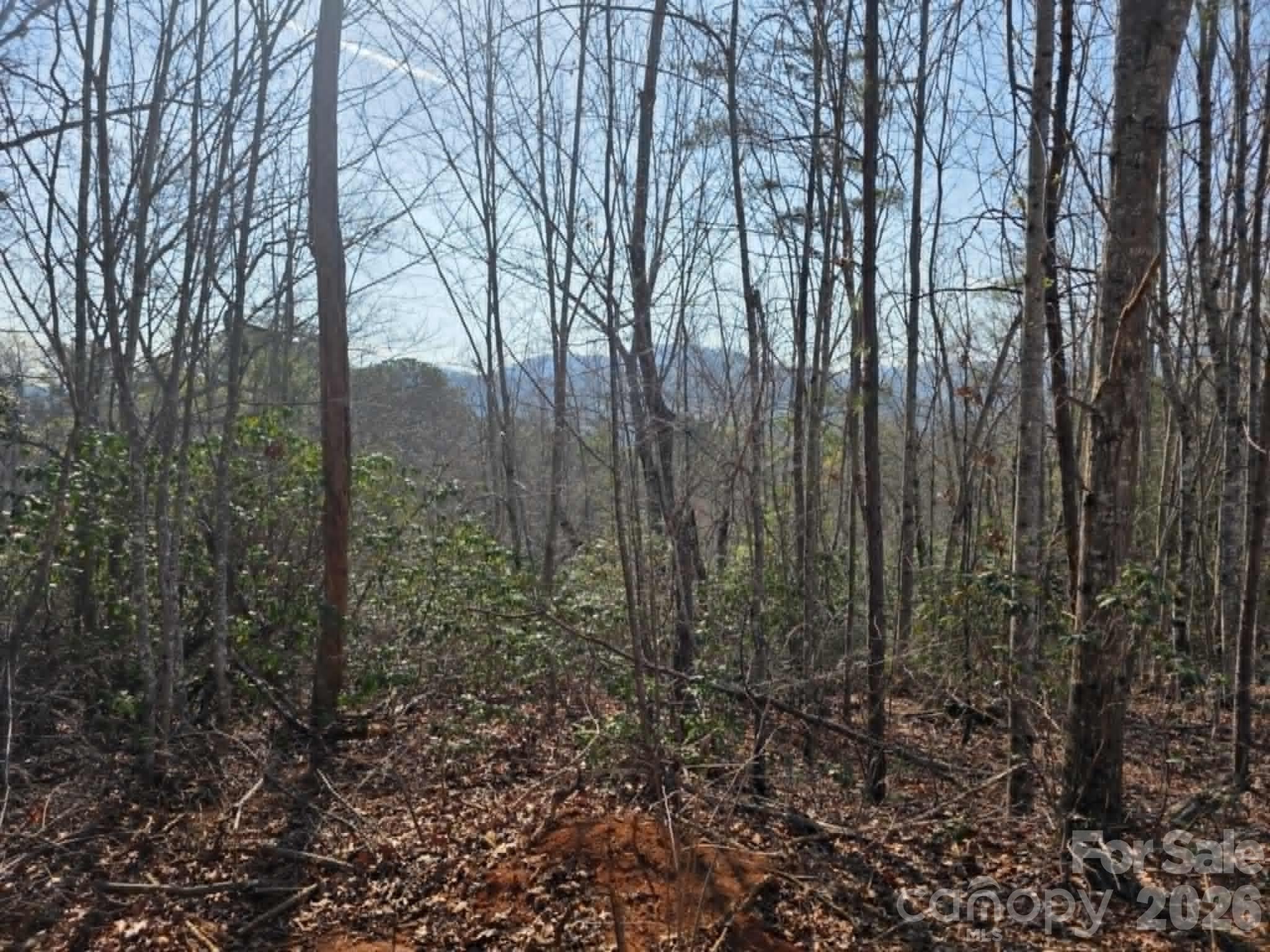 Lot 8 Kerlee Lane Property Photo 1