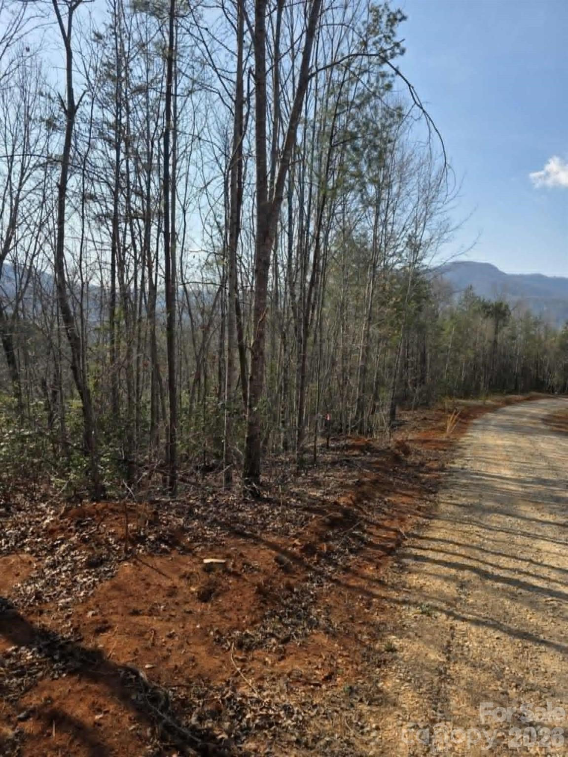 Lot 8 Kerlee Lane Property Photo 2