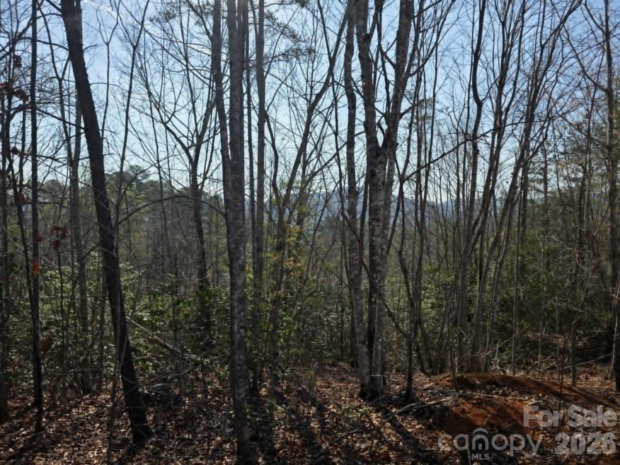 Lot 8 Kerlee Lane Property Photo 3