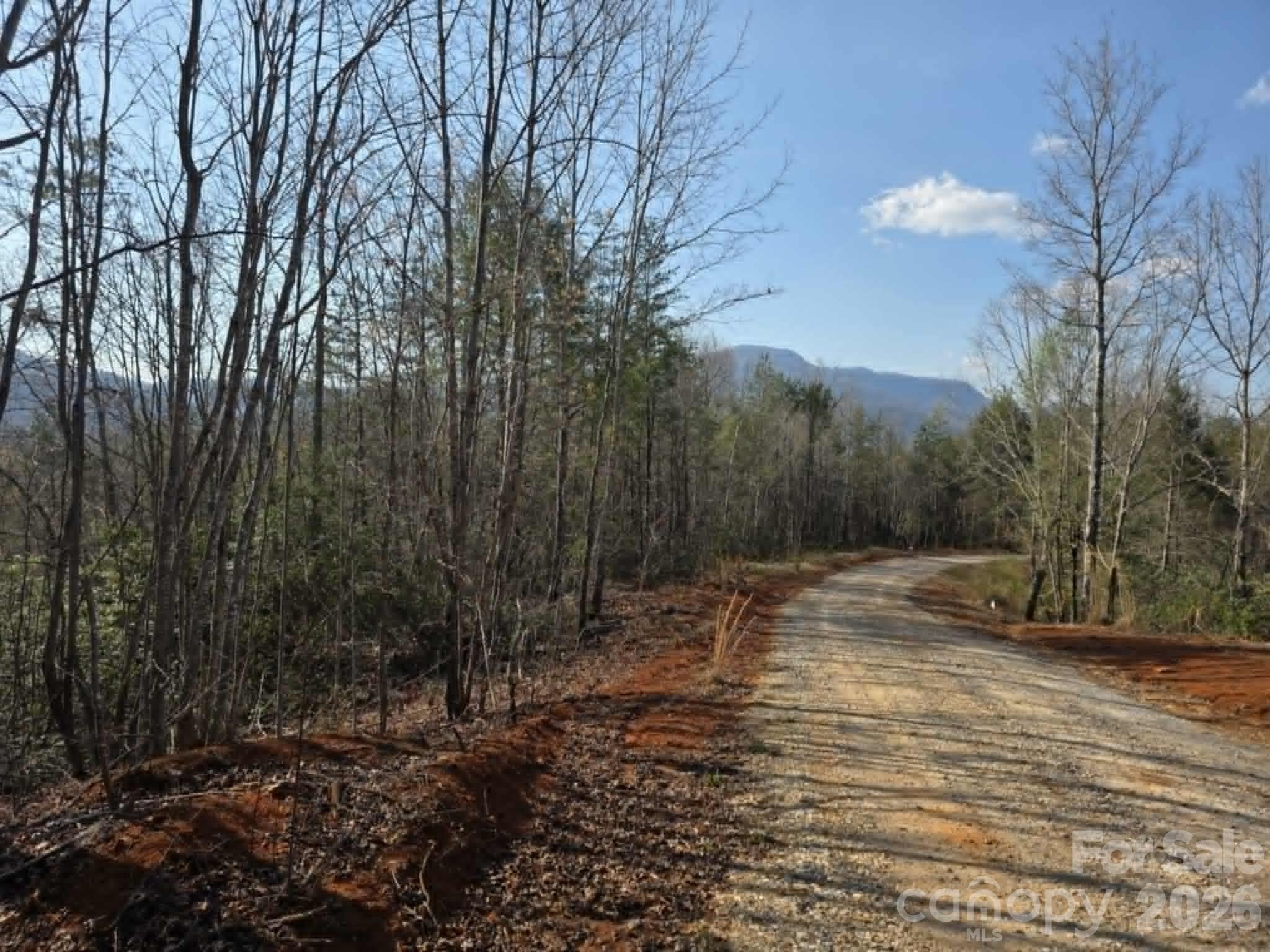 Lot 8 Kerlee Lane Property Photo 4