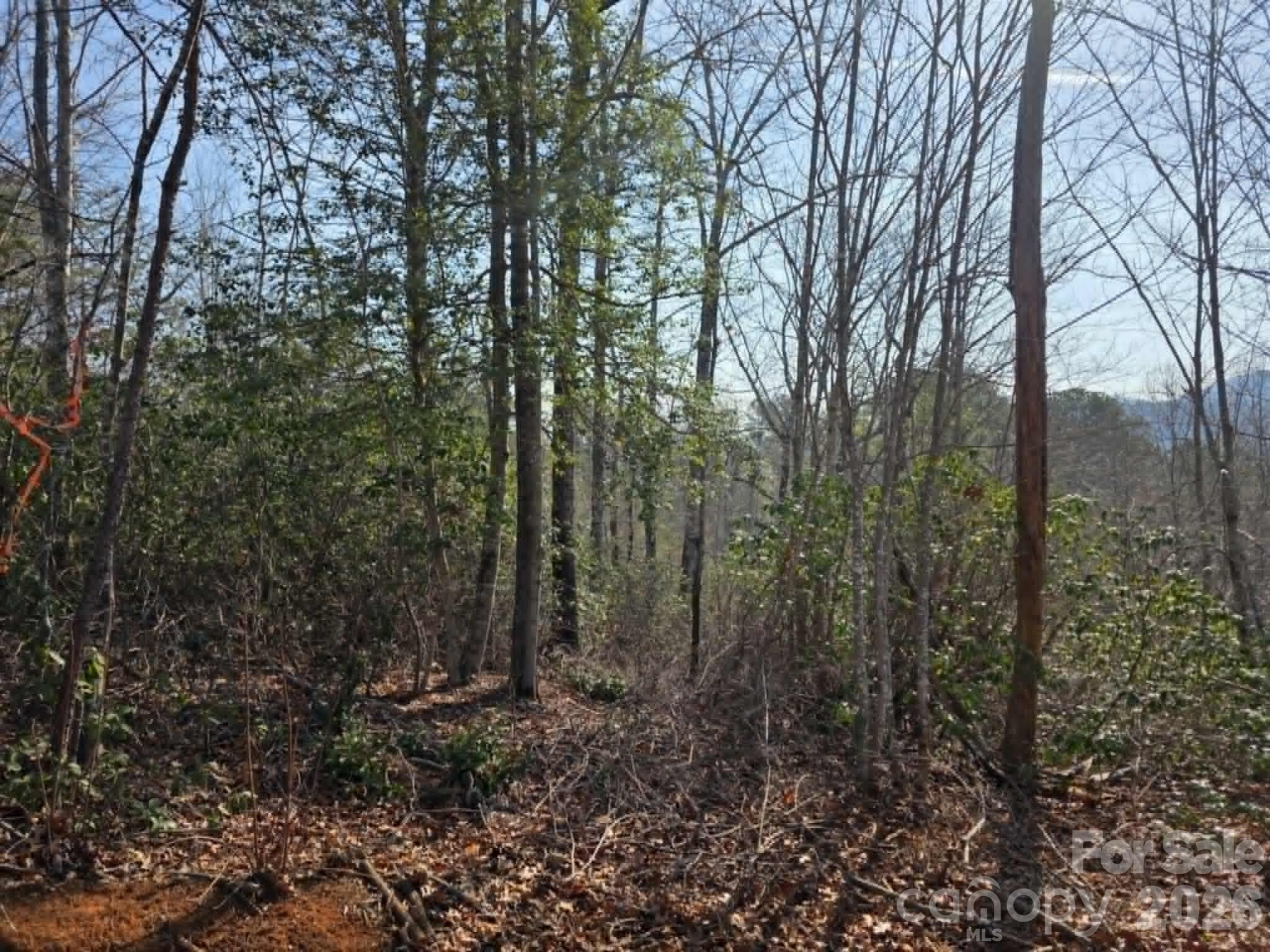 Lot 8 Kerlee Lane Property Photo 5