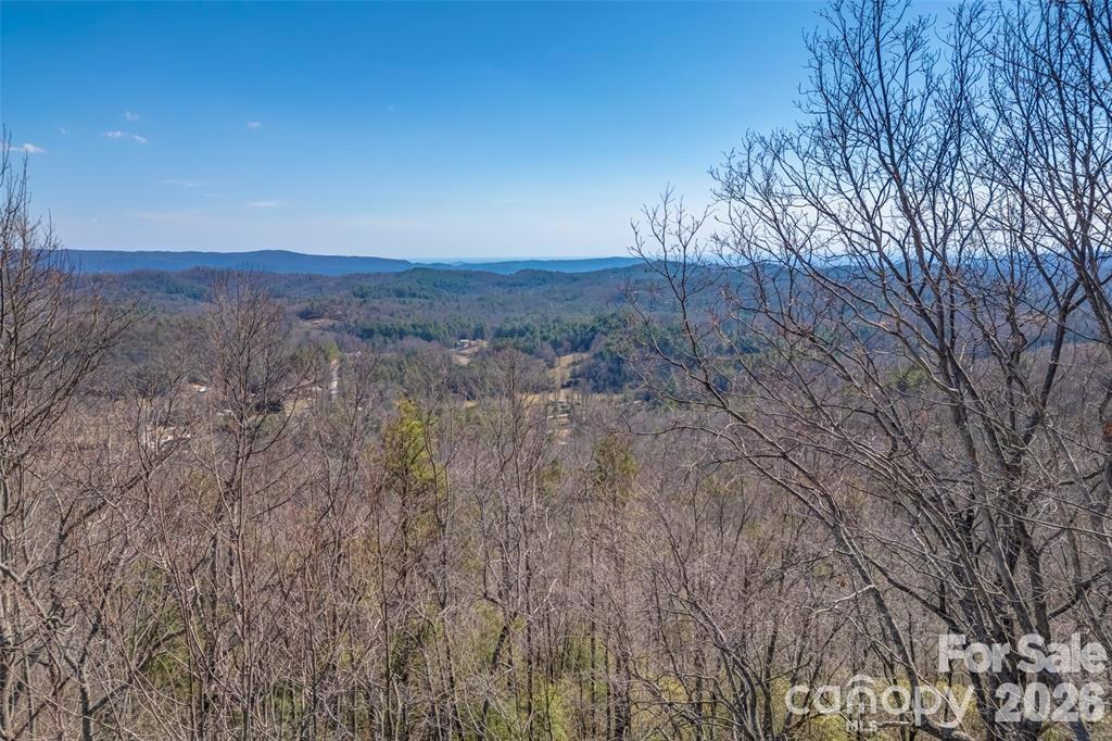 Tbd Loganberry Lane Property Photo 3