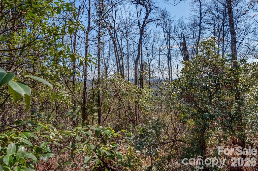 Tbd Loganberry Lane Property Photo 4