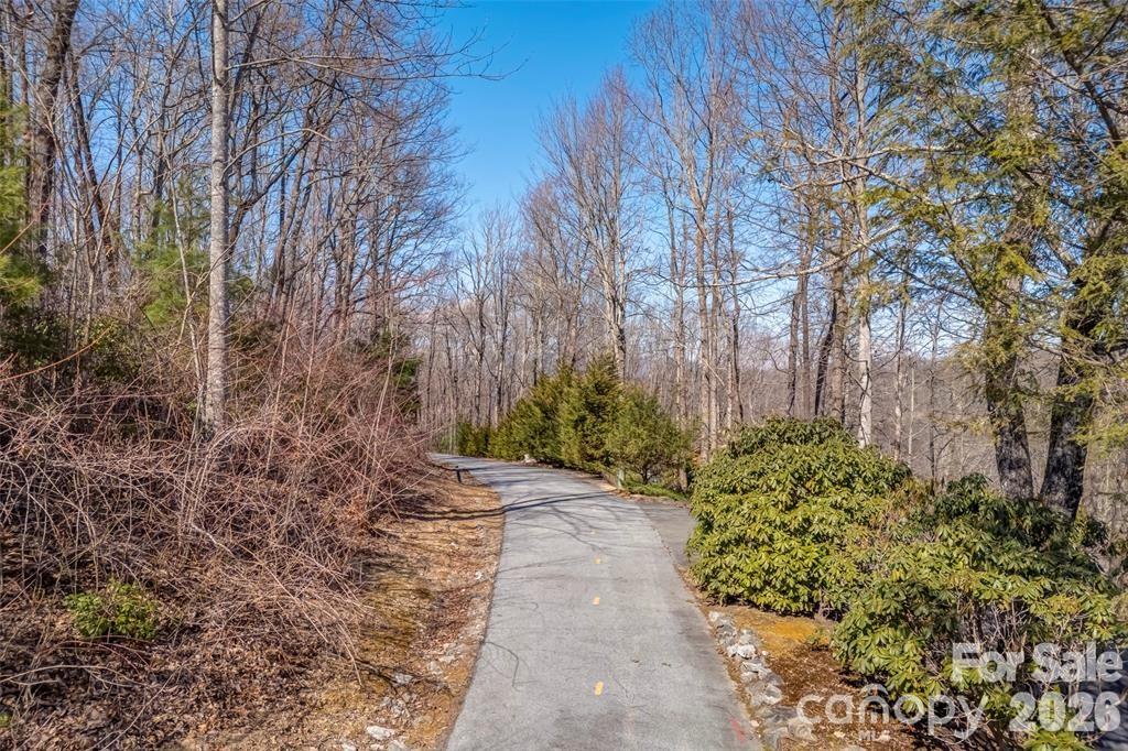 Tbd Loganberry Lane Property Photo 5