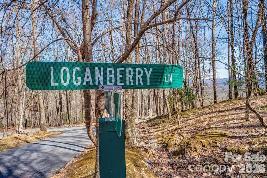 Tbd Loganberry Lane Property Photo 10