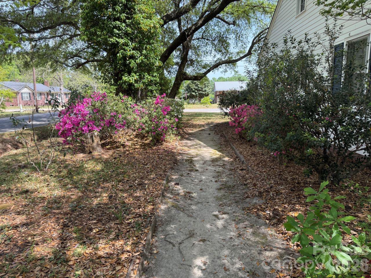 119 Patsy Lane Property Photo 4