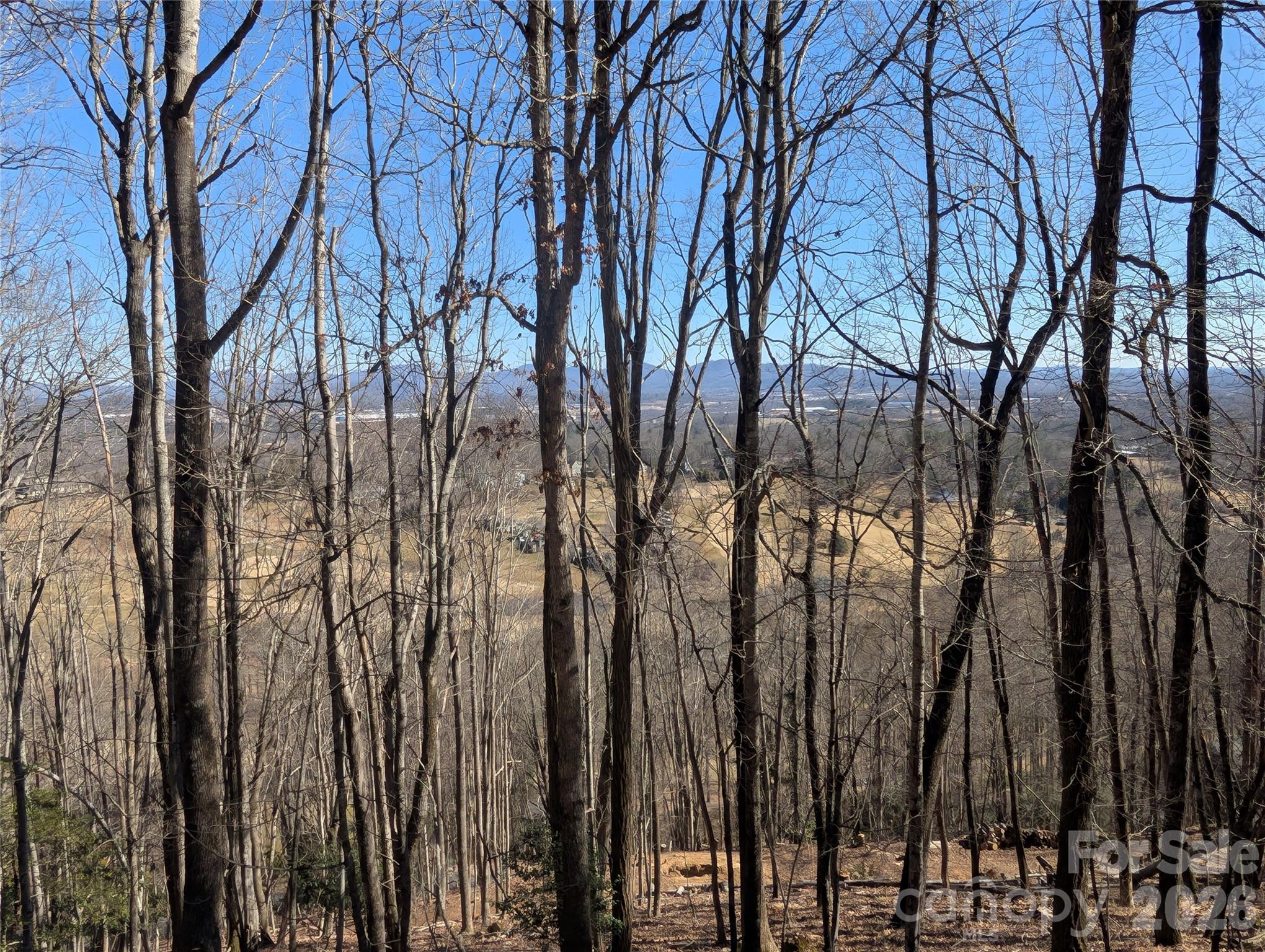 4 Wild Dogwood Trail Property Photo 5
