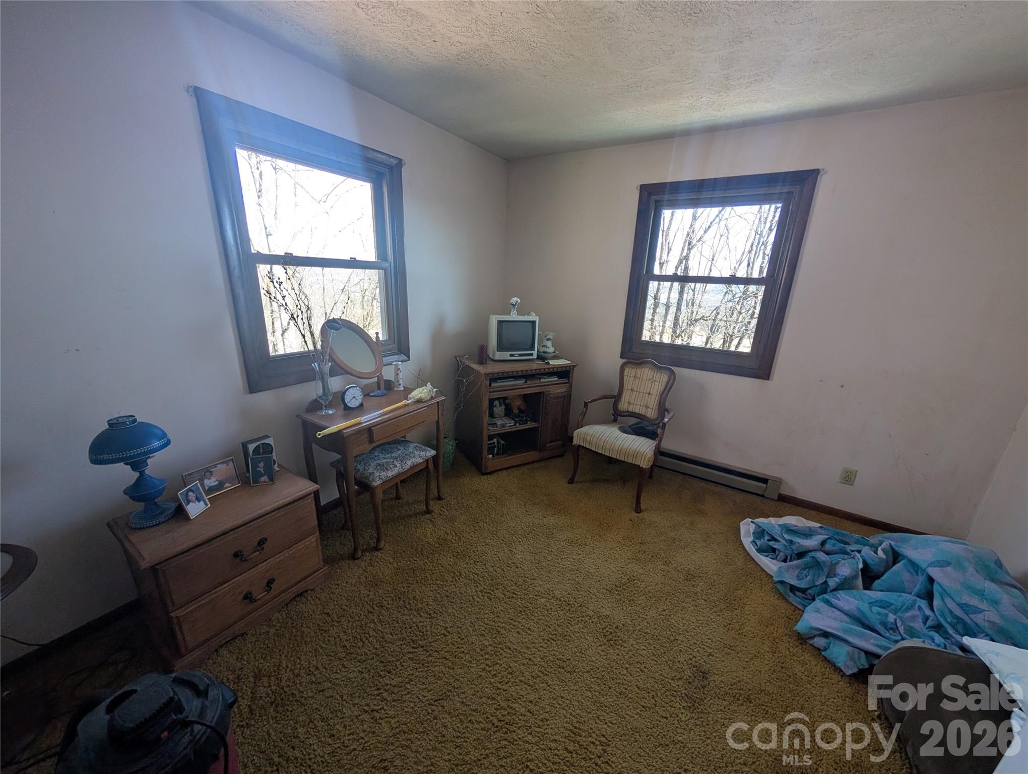 4 Wild Dogwood Trail Property Photo 7