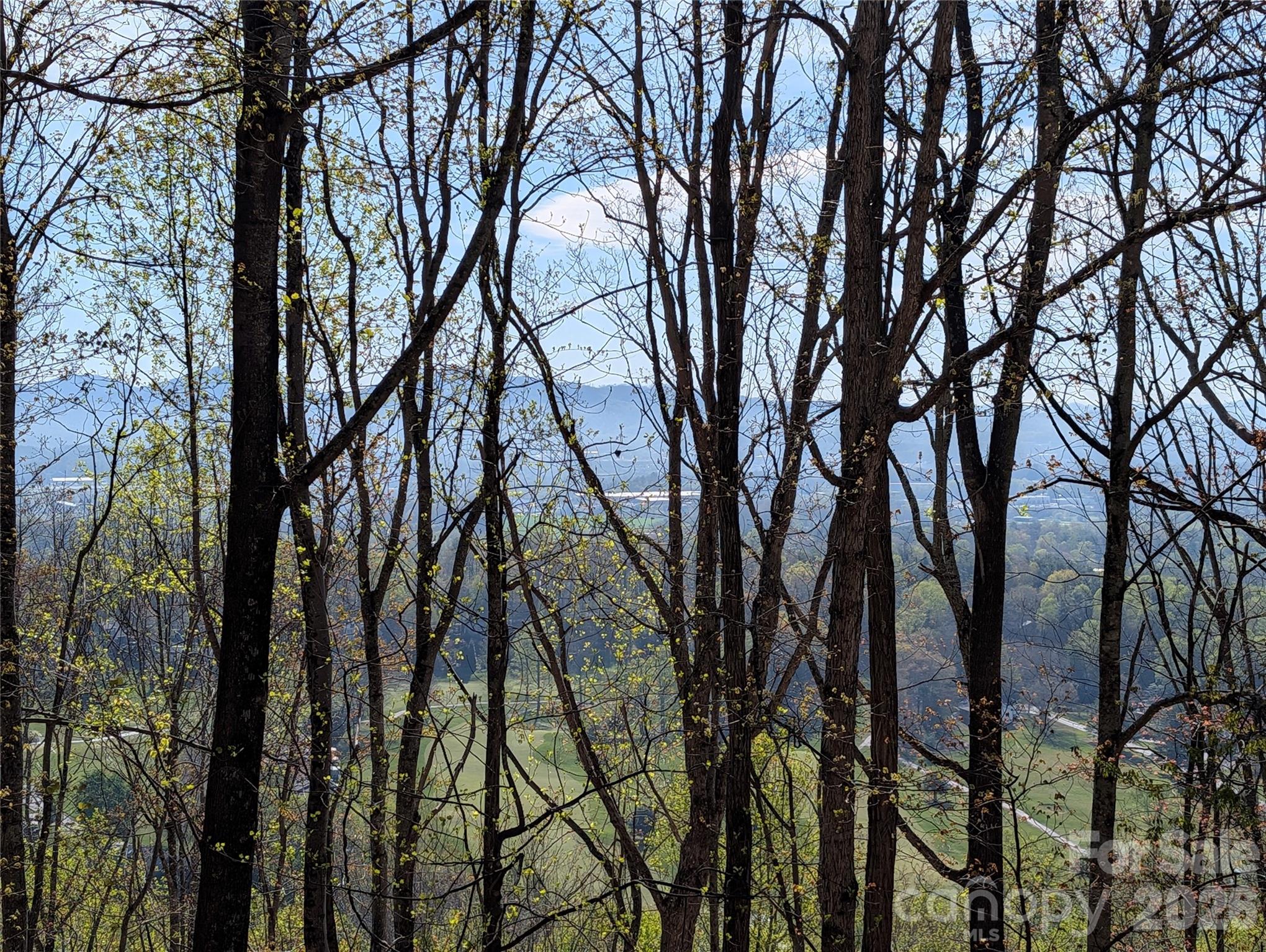 4 Wild Dogwood Trail Property Photo 37