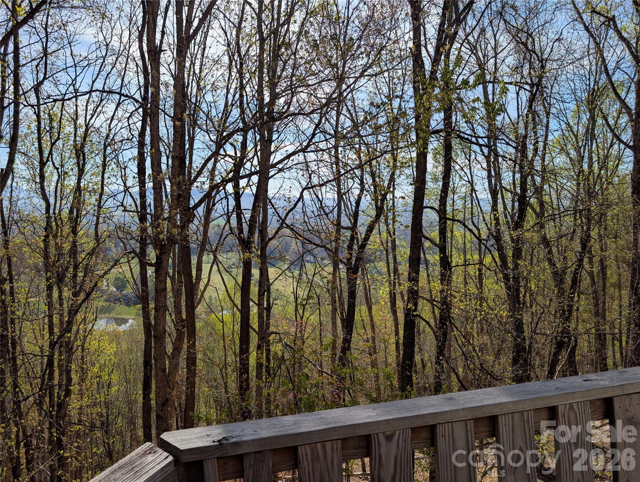 4 Wild Dogwood Trail Property Photo 39