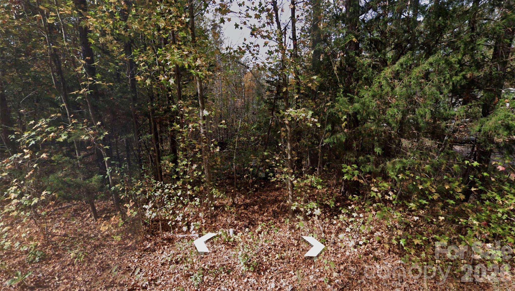 Lot 36 Smith Woods Lane 36 Property Photo 1