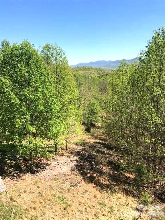 453 Grandview Peaks Drive Property Photo 15