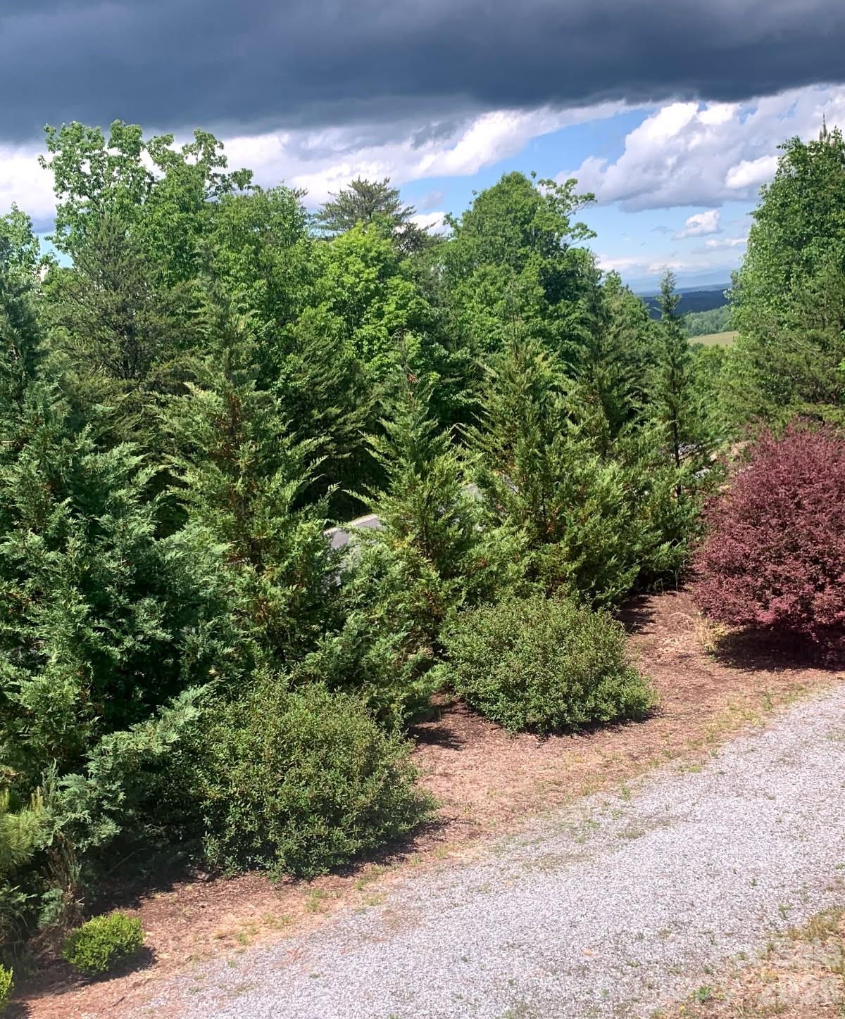 453 Grandview Peaks Drive Property Photo 16