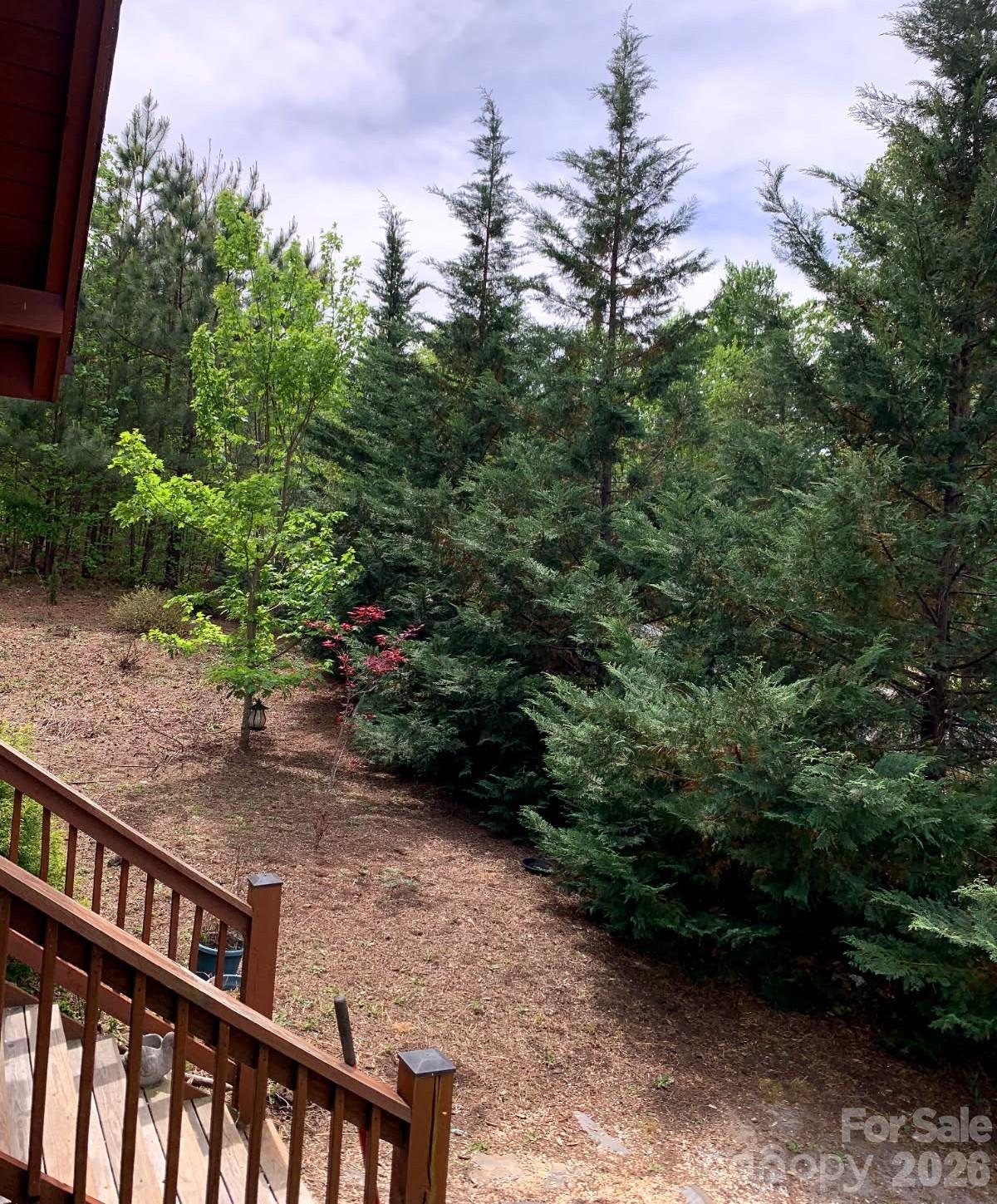 453 Grandview Peaks Drive Property Photo 17