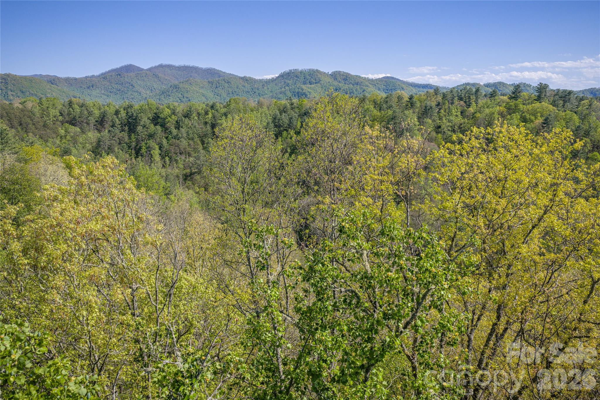 44 Marshbanks Ridge Property Photo 1