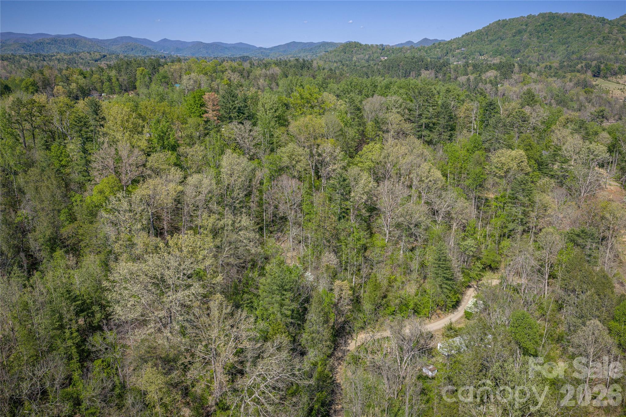 44 Marshbanks Ridge Property Photo 6