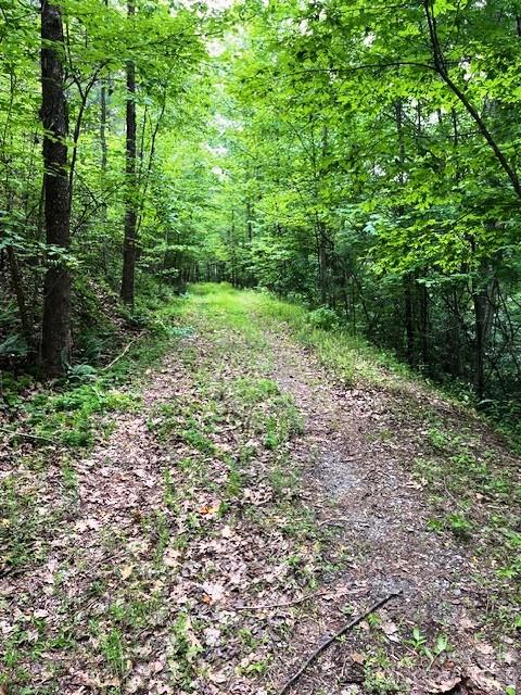 Lot 46 Lake Adger Parkway Property Photo 1