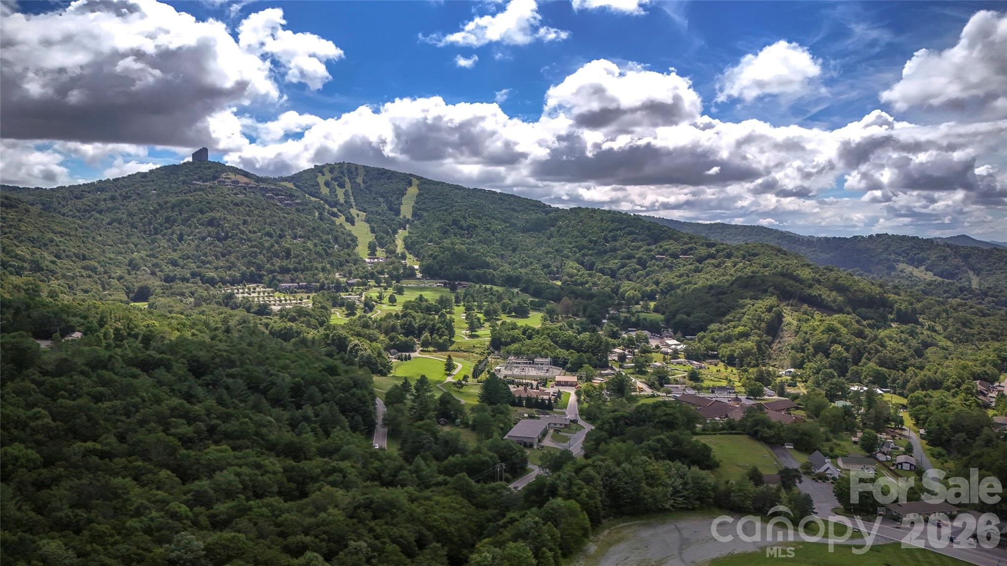 7277 Beech Mountain Road Property Photo 4