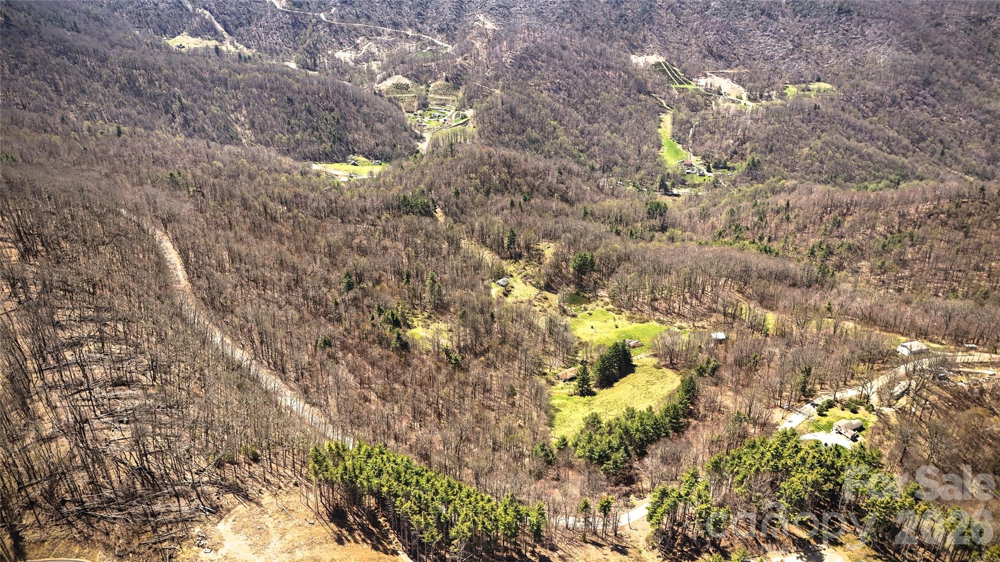 7277 Beech Mountain Road Property Photo 14