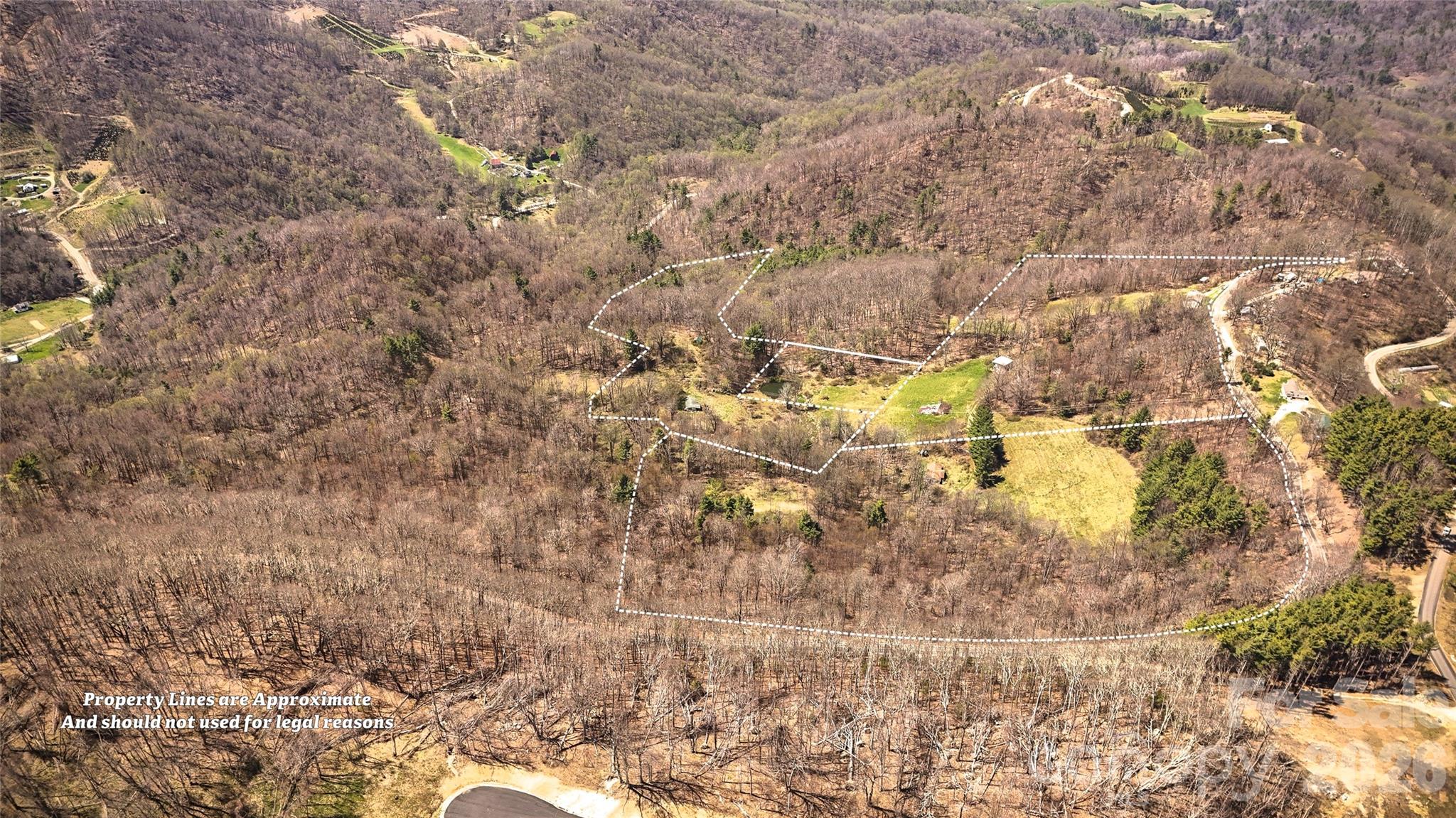 7277 Beech Mountain Road Property Photo 15