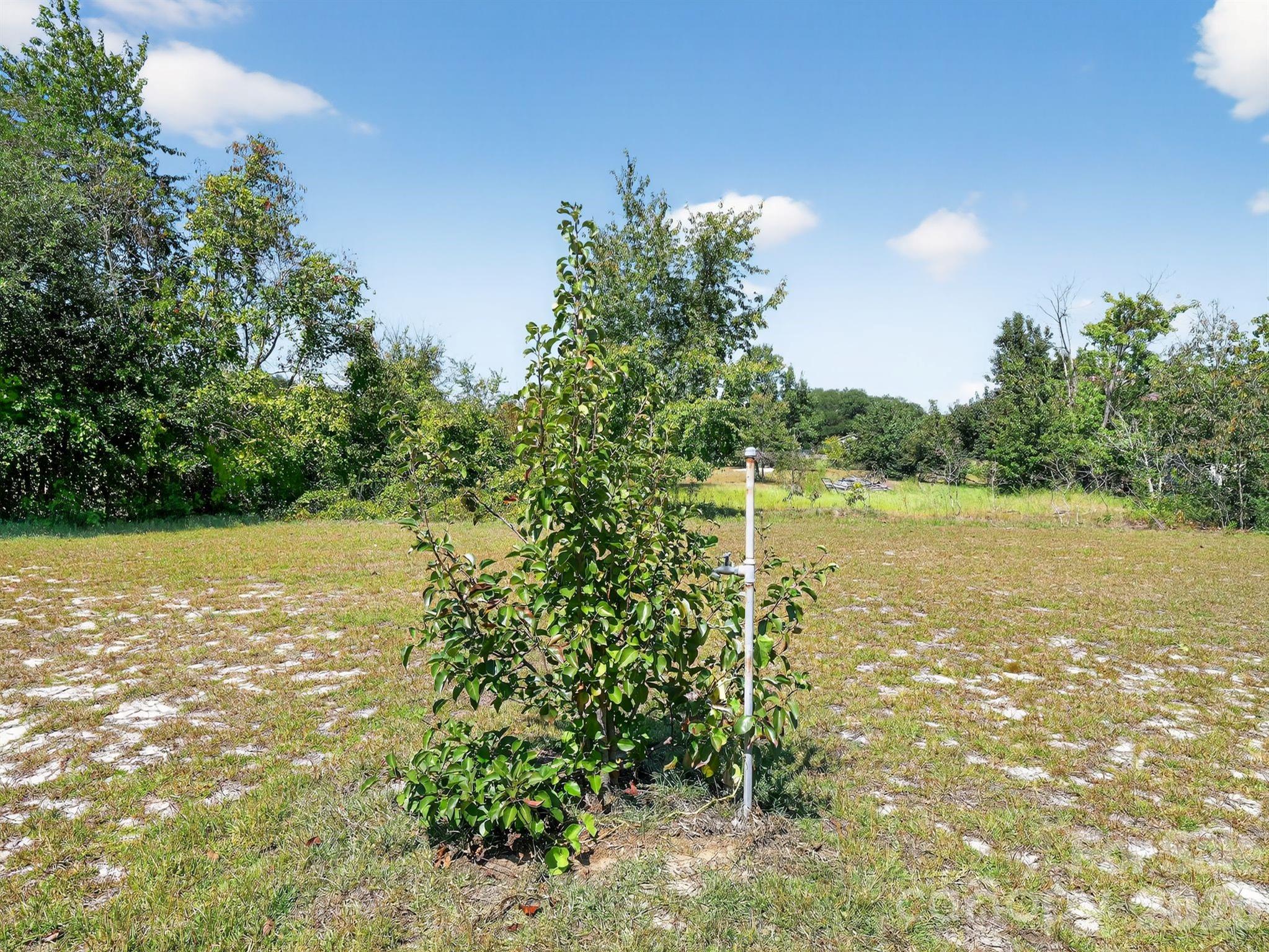 1035 Mcmillan Road Property Photo 20