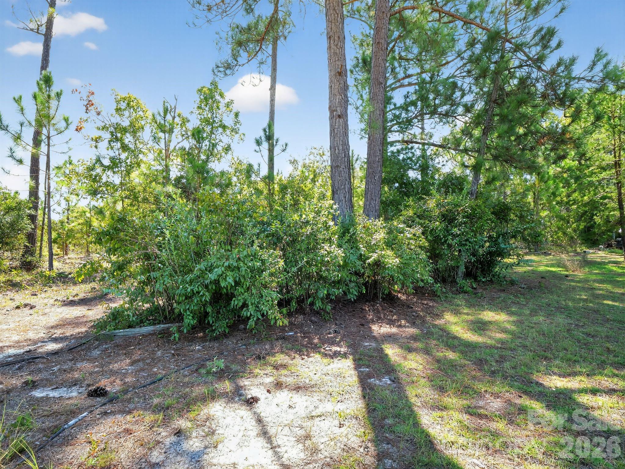 1035 Mcmillan Road Property Photo 22
