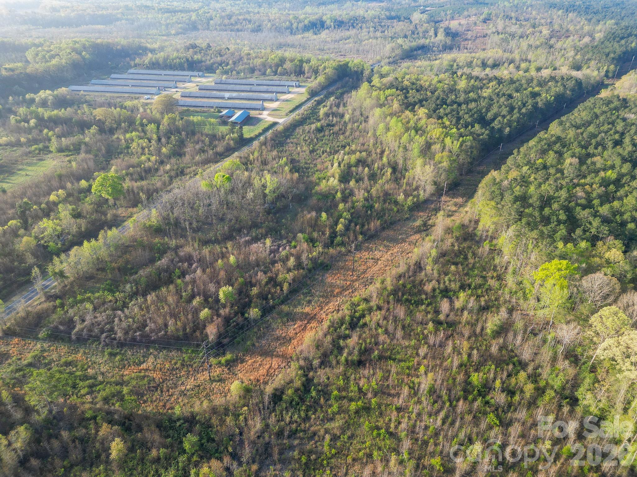 9999 Sunrise Road Property Photo 7