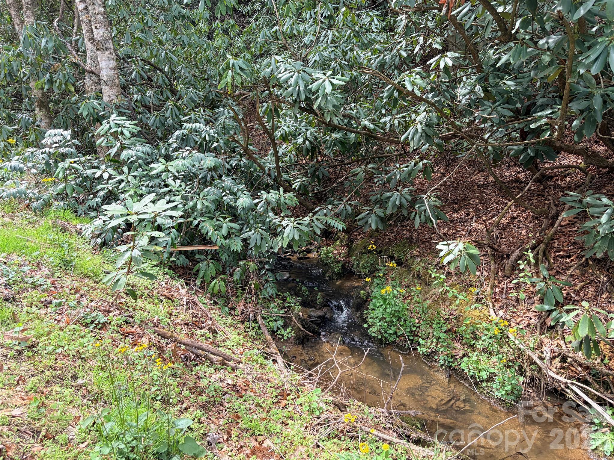 00 White Oak Road Property Photo 3